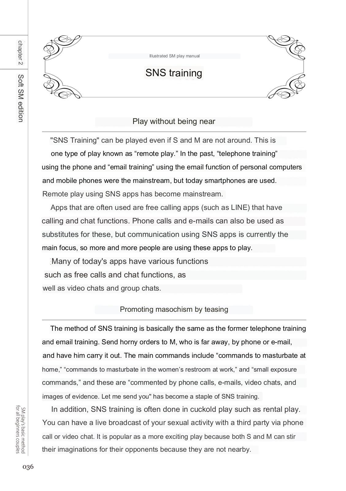 SM play manual numero di immagine  34