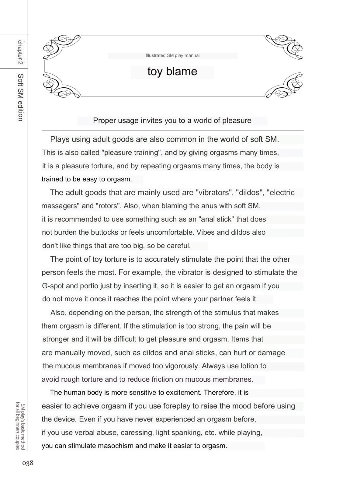 SM play manual numero di immagine  36