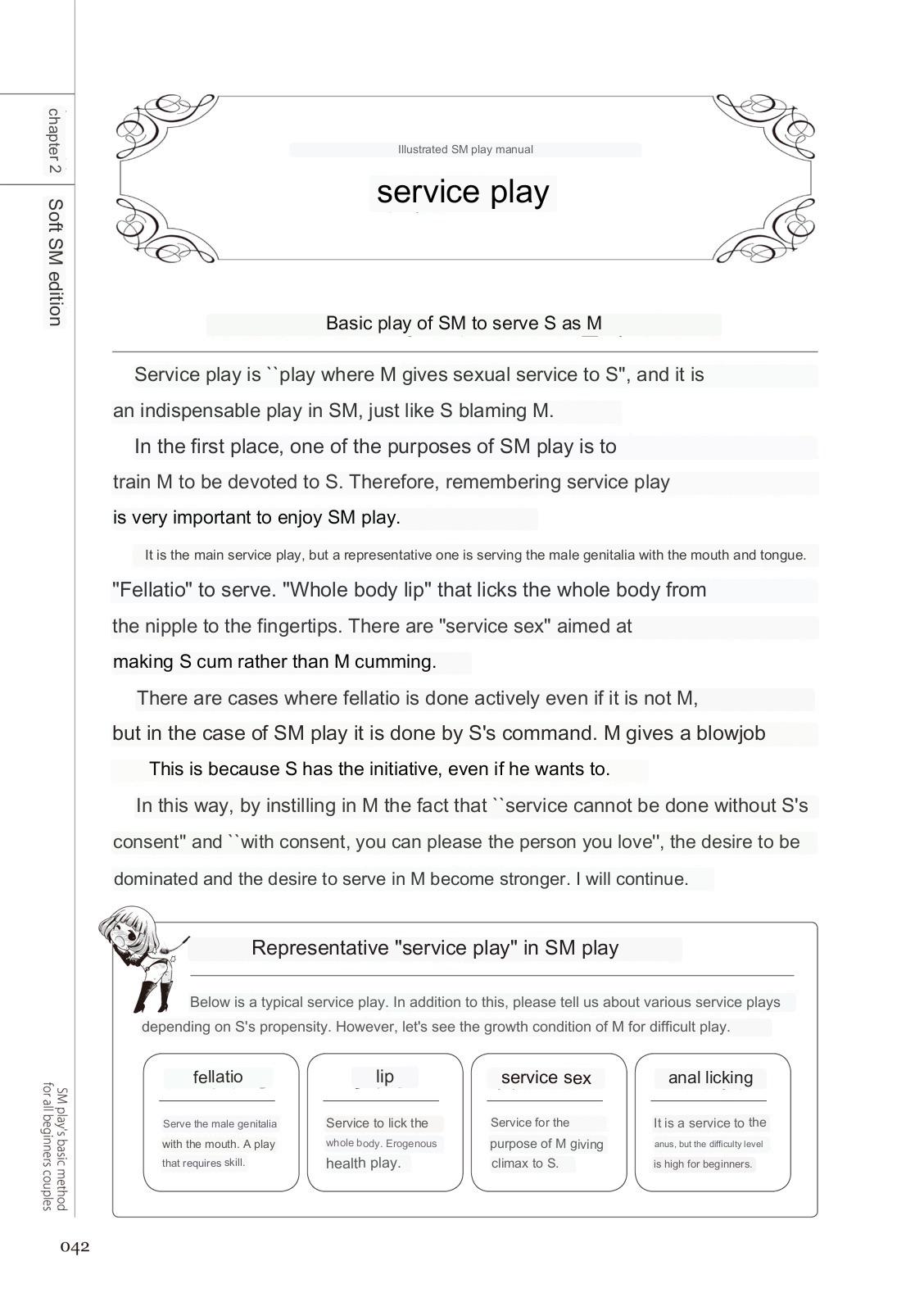 SM play manual numero di immagine  40