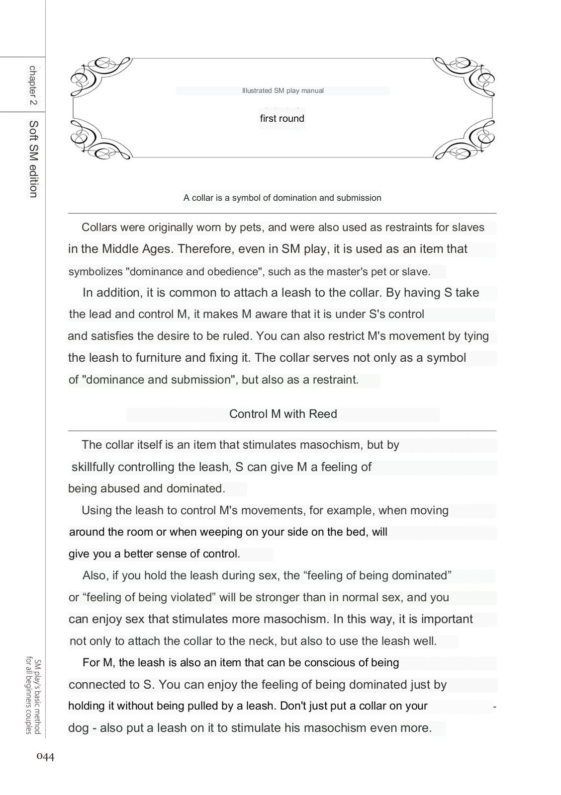 SM play manual numero di immagine  42