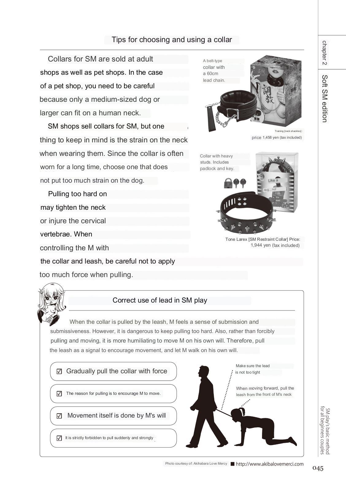 SM play manual numero di immagine  43