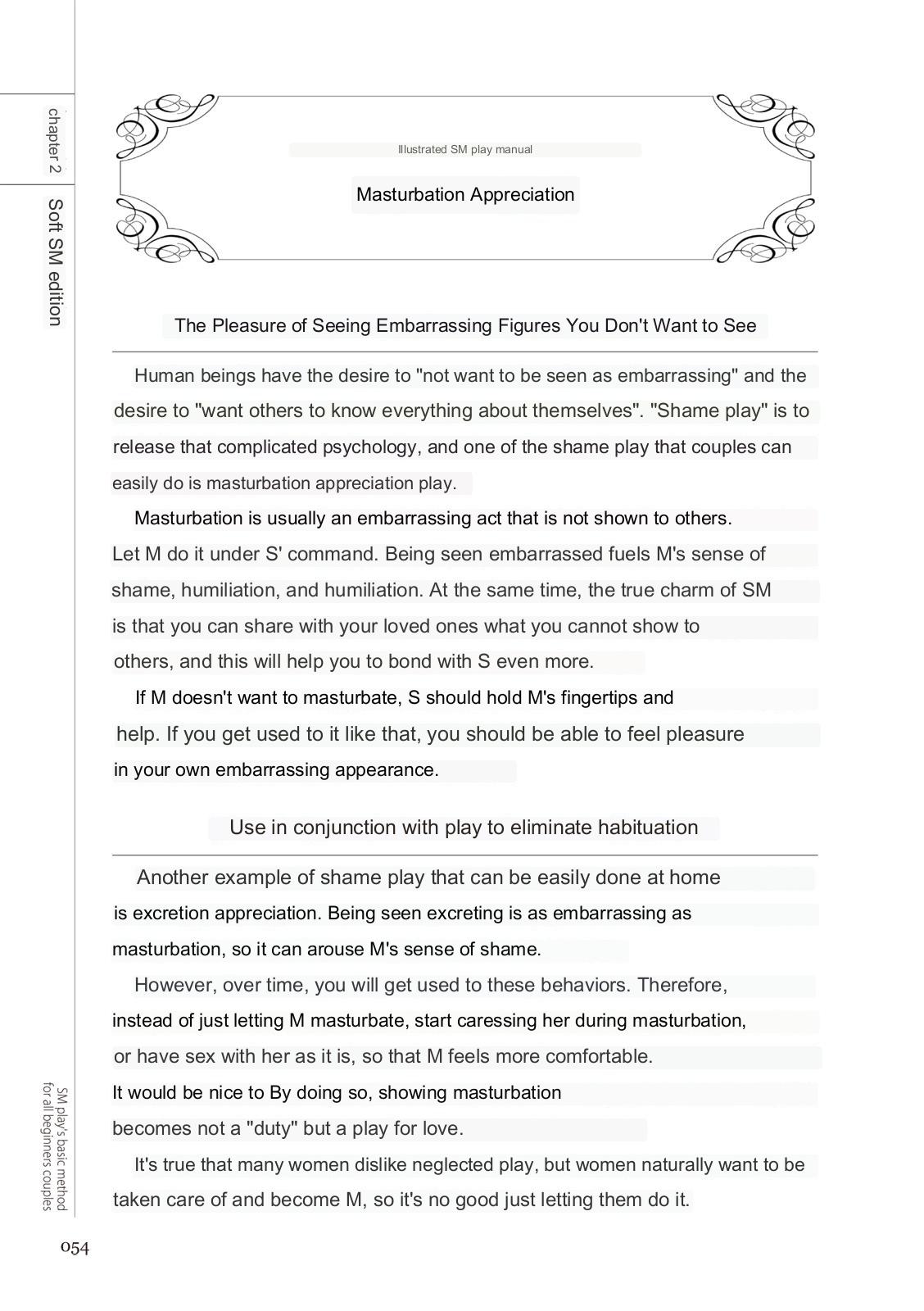 SM play manual numero di immagine  52