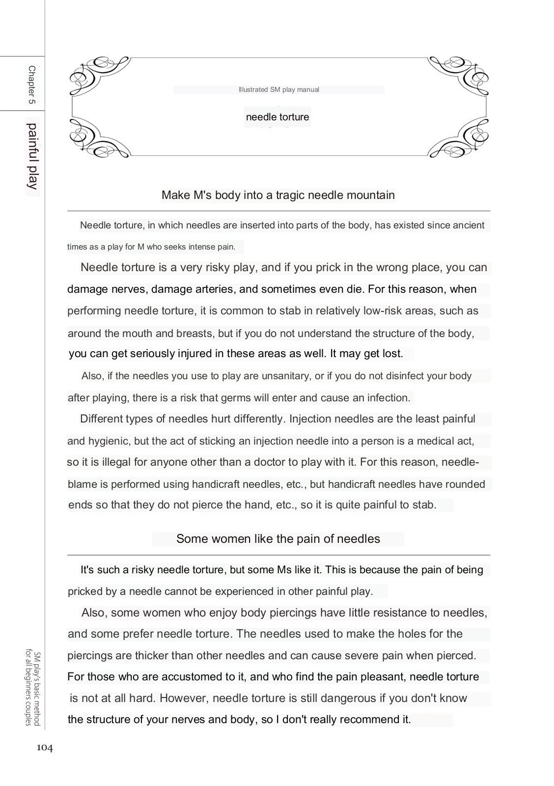 SM play manual numero di immagine  102