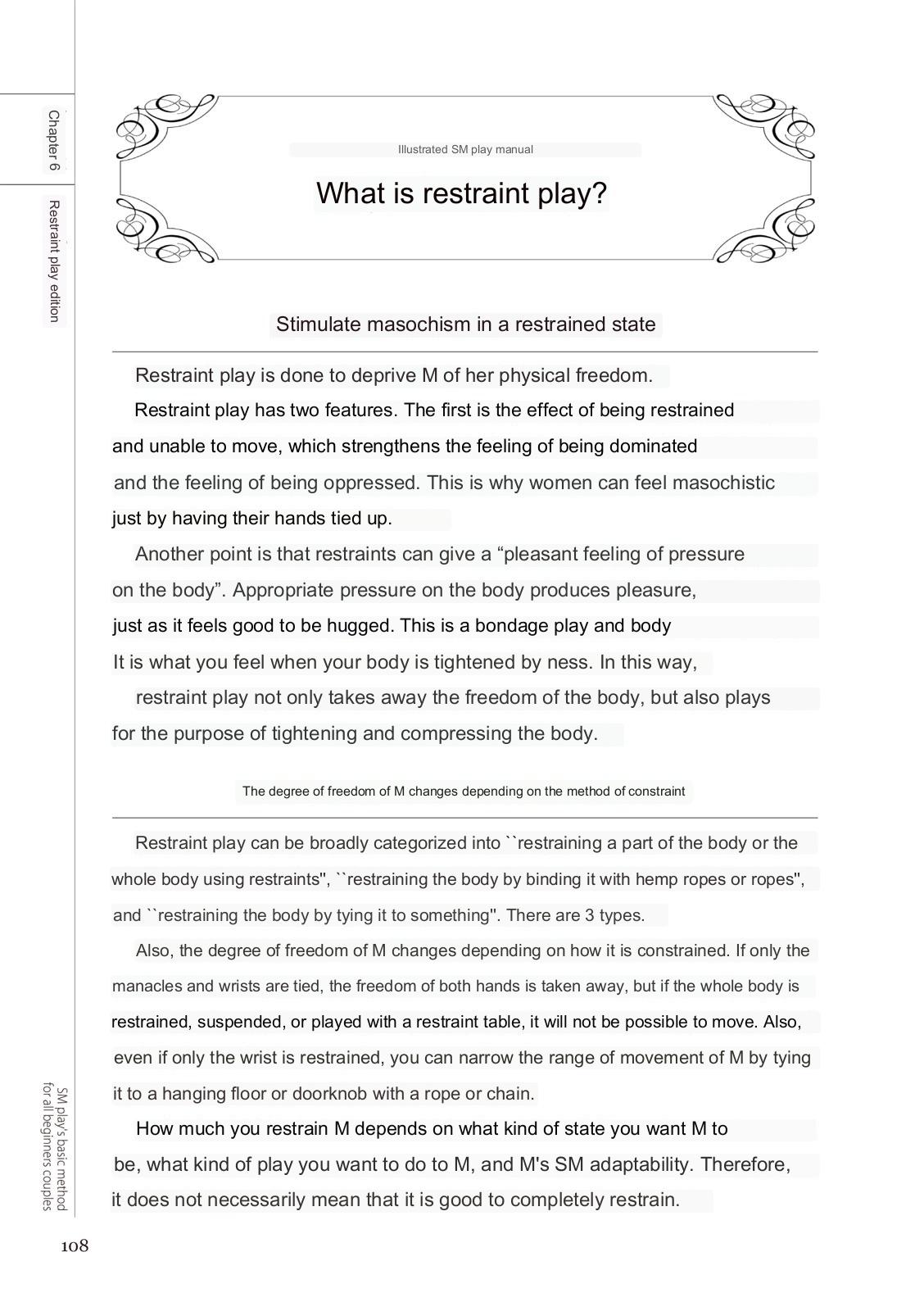 SM play manual numero di immagine  106