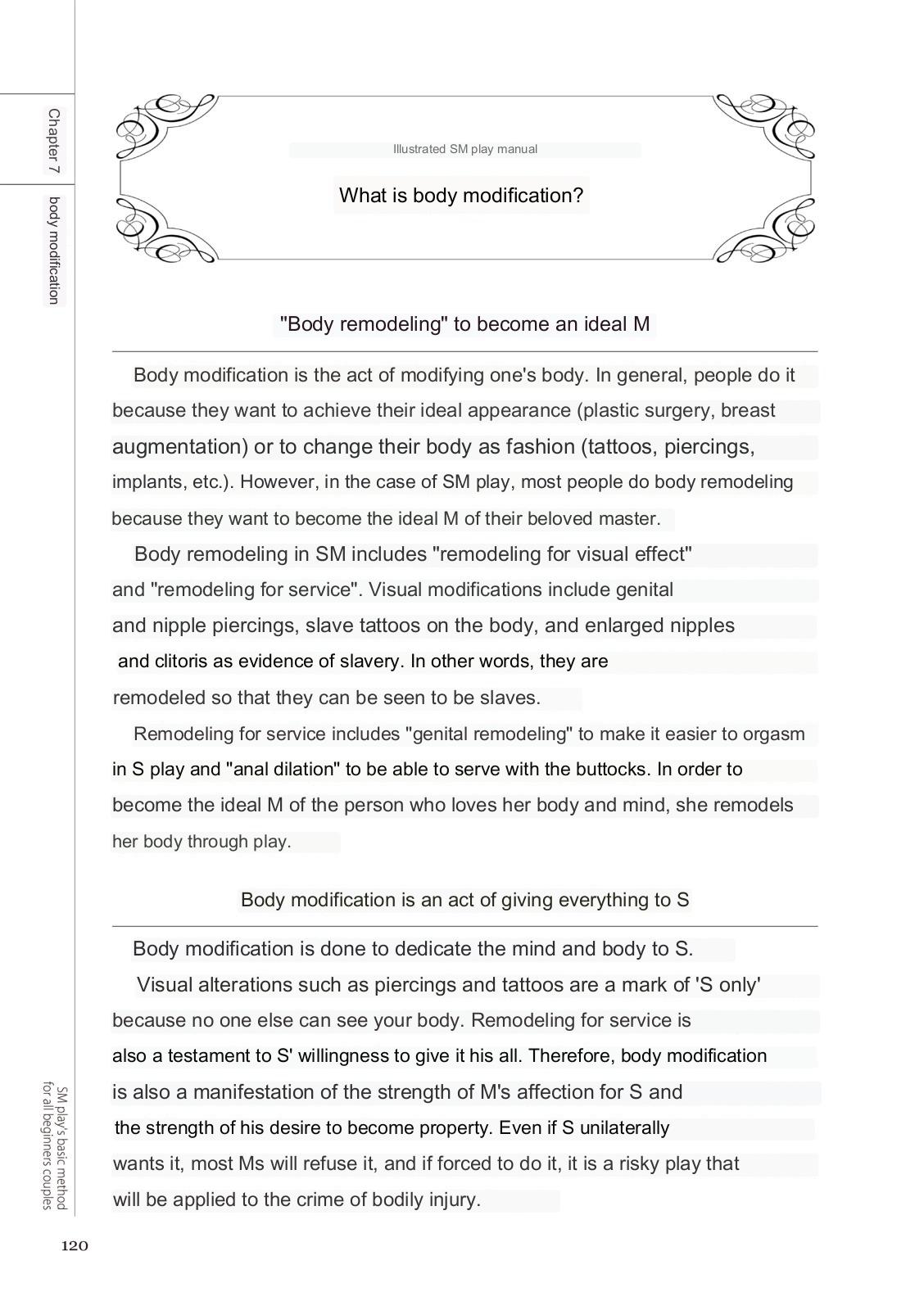 SM play manual numero di immagine  118