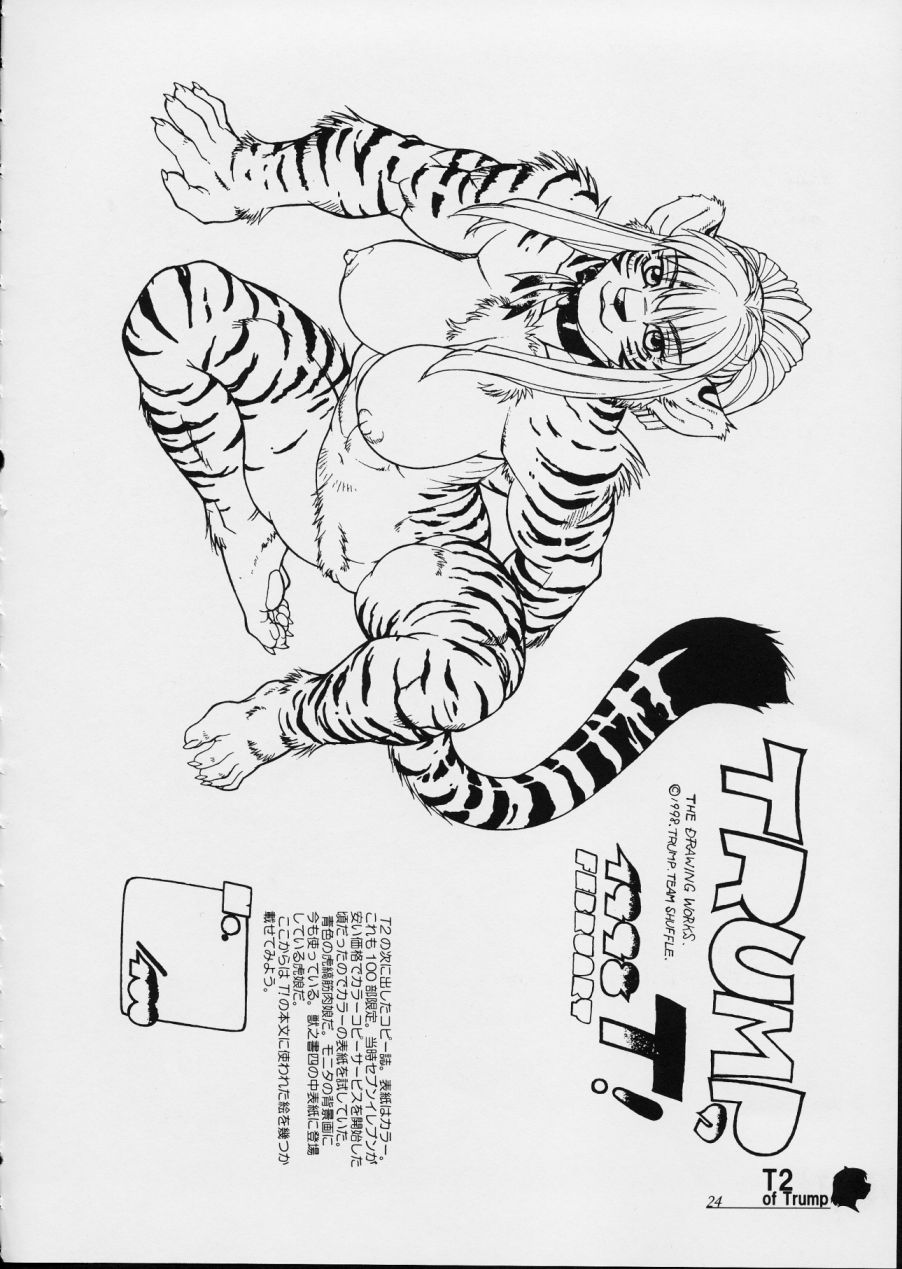 [TEAM SHUFFLE (Trump)] T2 of Trump image number 24