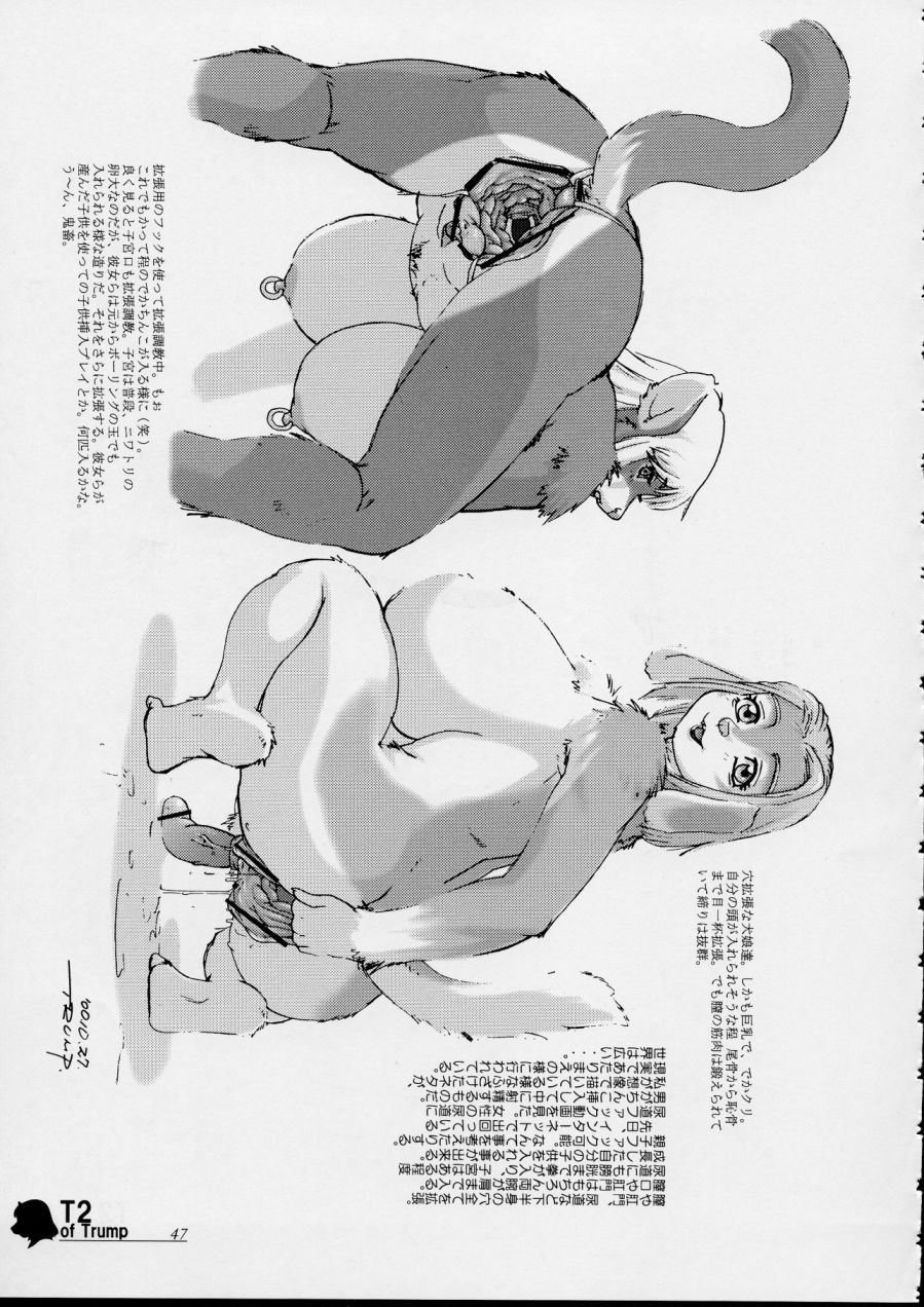 [TEAM SHUFFLE (Trump)] T2 of Trump image number 47