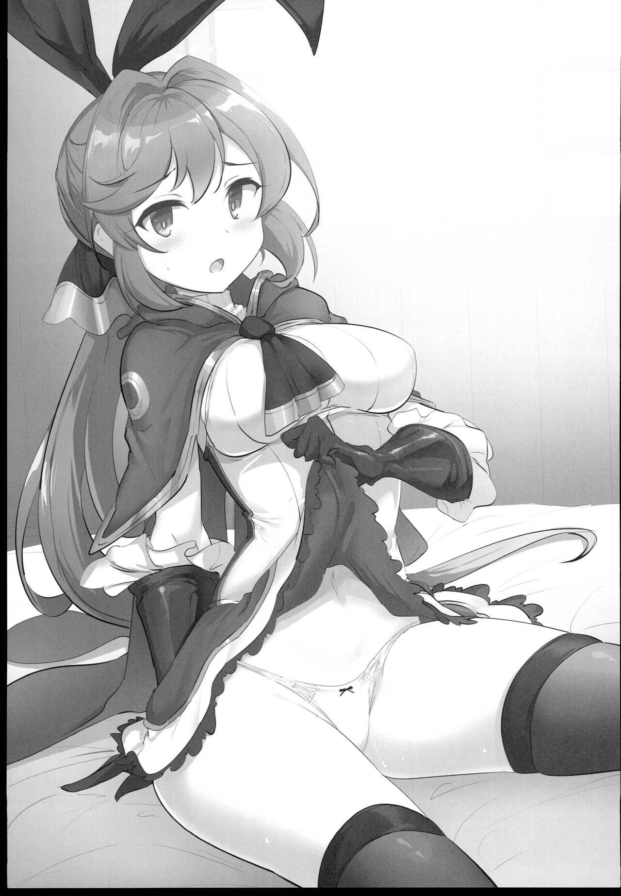 (C102) [Hisagoya (Momio)] Dokidoki! P-katsu Clarisse-chan (Granblue Fantasy) 画像番号 3