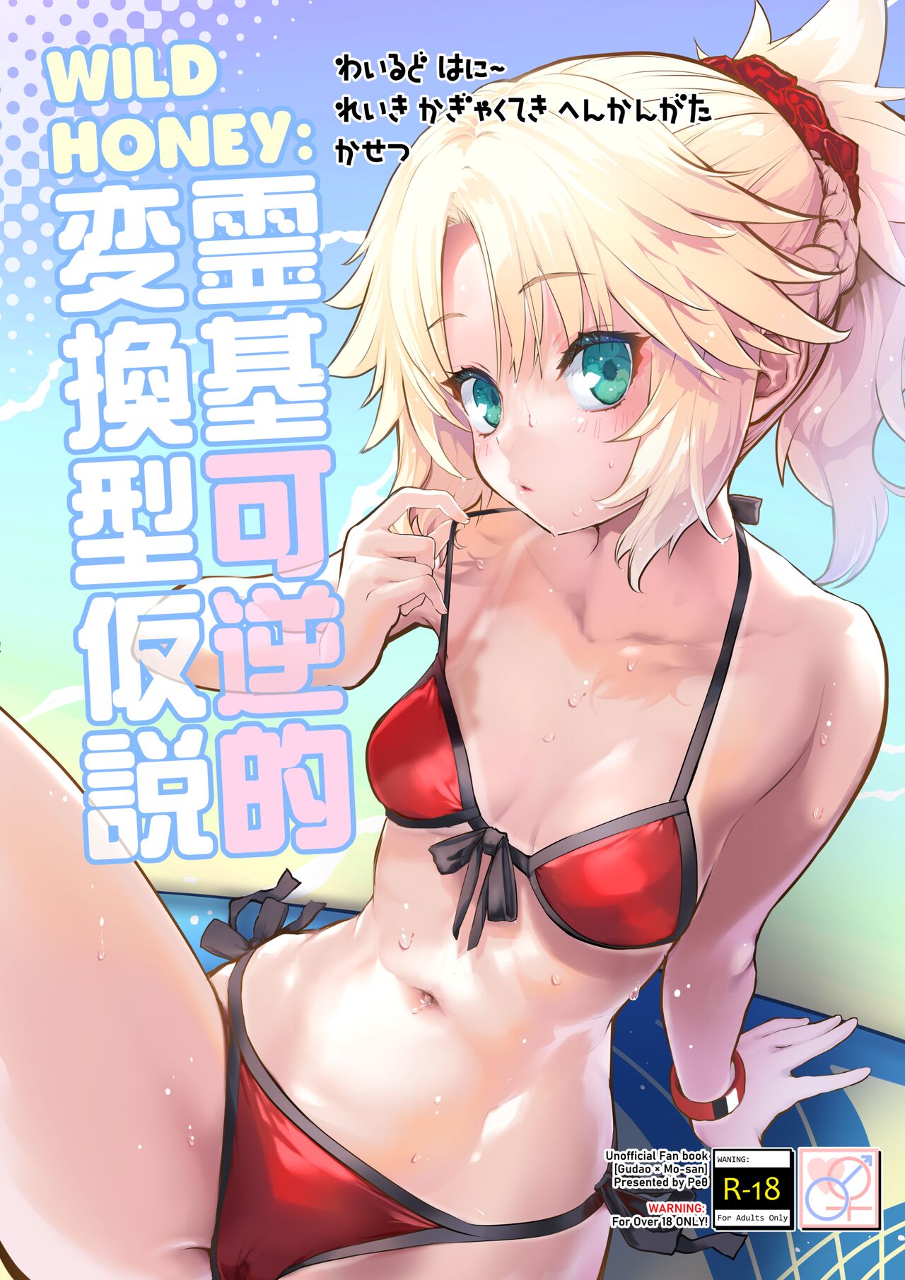 [Peθ (Mozu)] WILD HONEY Reiki Kagyakuteki Henkangata Kasetsu | WILD HONEY: 영기 가역적 변환형 가설 (FateGrand Order) [Korean] [Digital] numero di immagine  1
