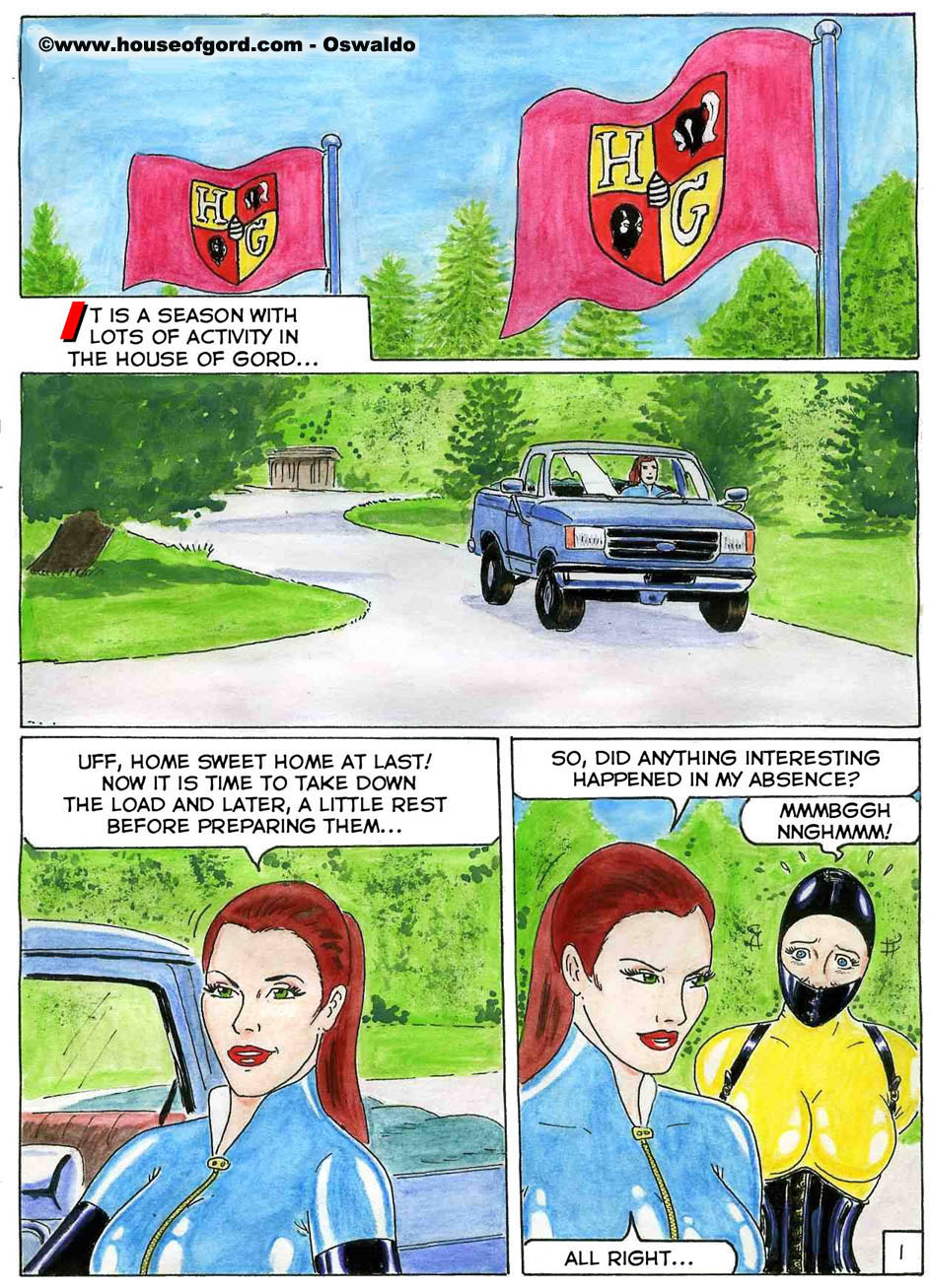 Life at the Gord's 画像番号 1