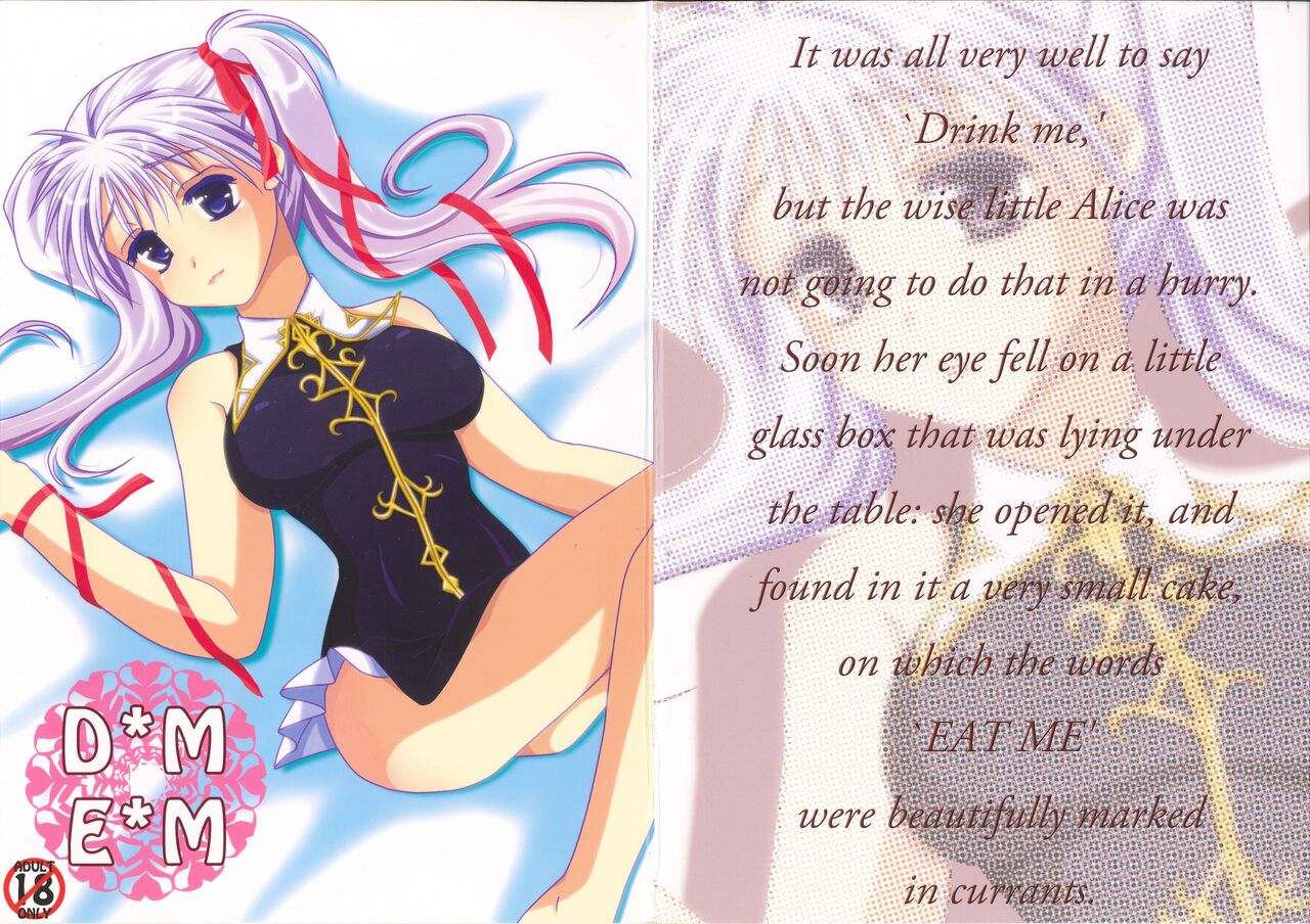 [Yorimichi Jinsei (Tanaka Sei)] DMxEM (Fire Emblem: Seisen no Keifu) image number 1