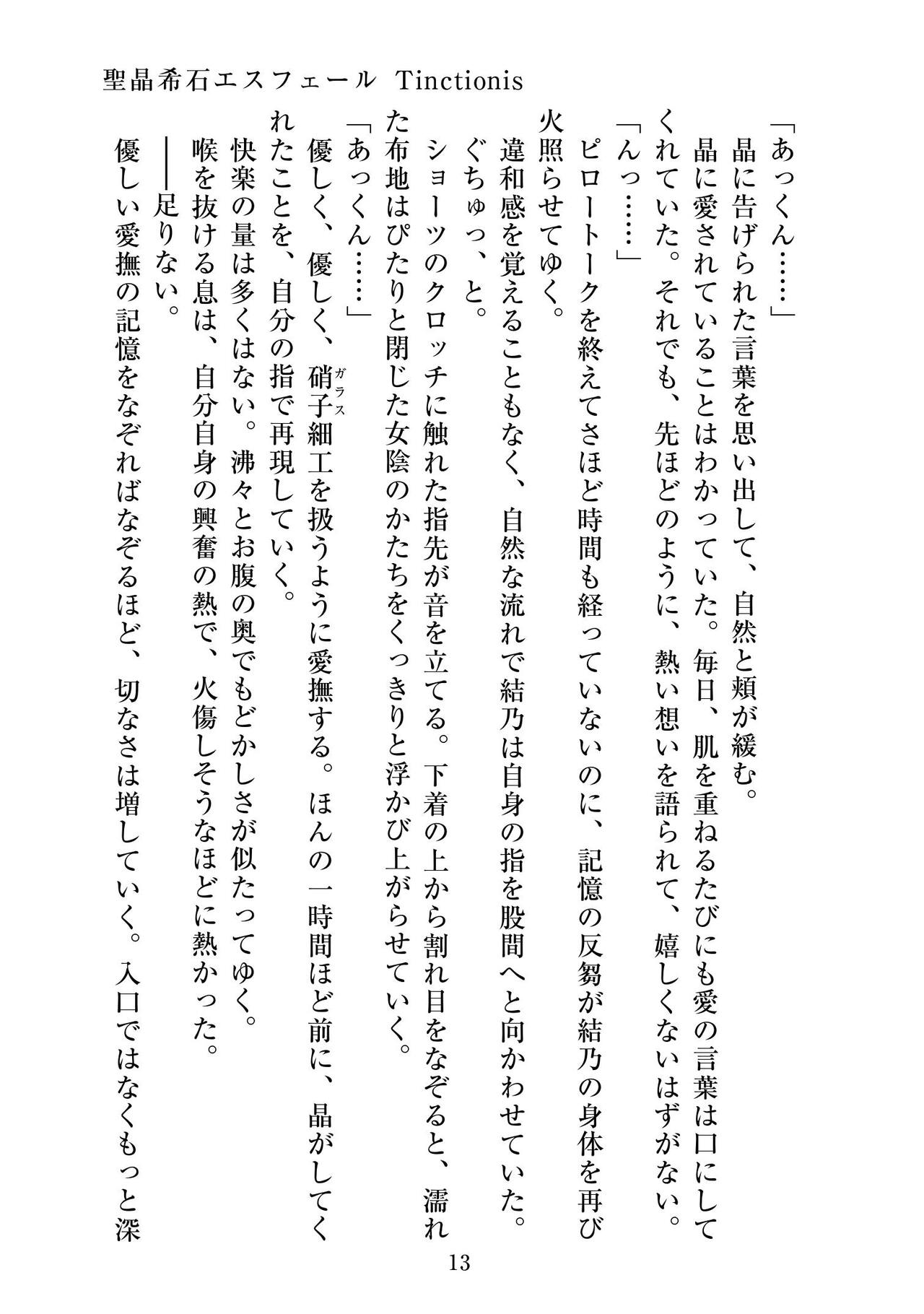 [ニワカカミキリヤモドキ]聖晶希石エスフェール Tinctionis numero di immagine  14