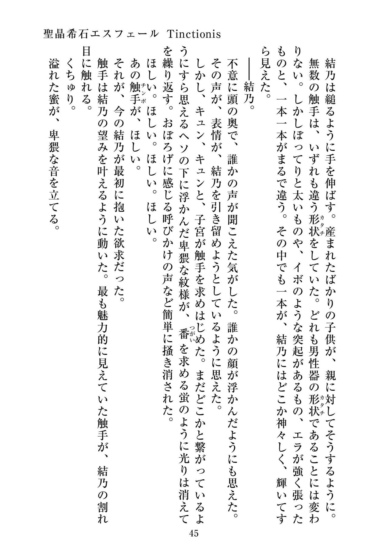 [ニワカカミキリヤモドキ]聖晶希石エスフェール Tinctionis numero di immagine  46