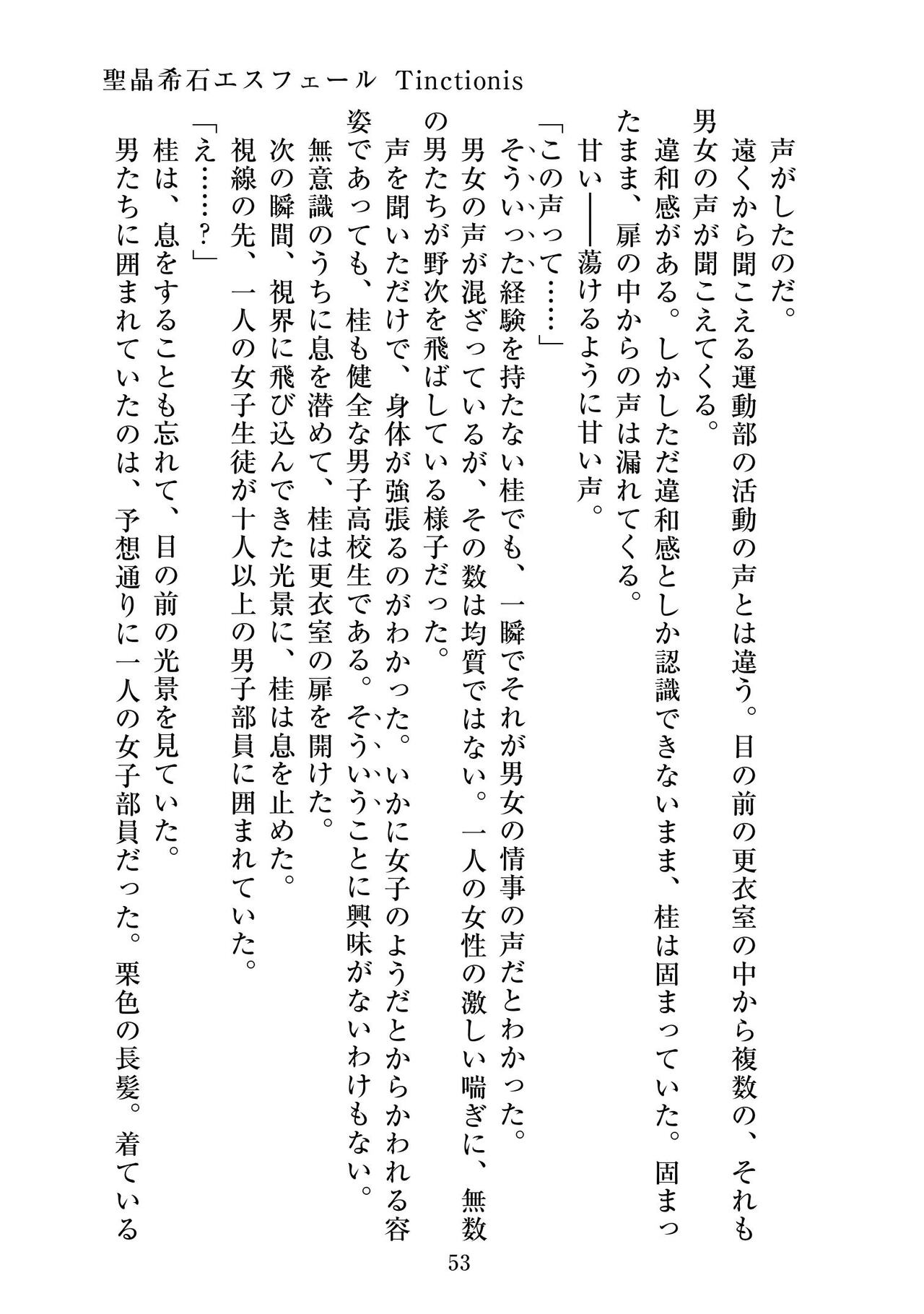 [ニワカカミキリヤモドキ]聖晶希石エスフェール Tinctionis numero di immagine  54