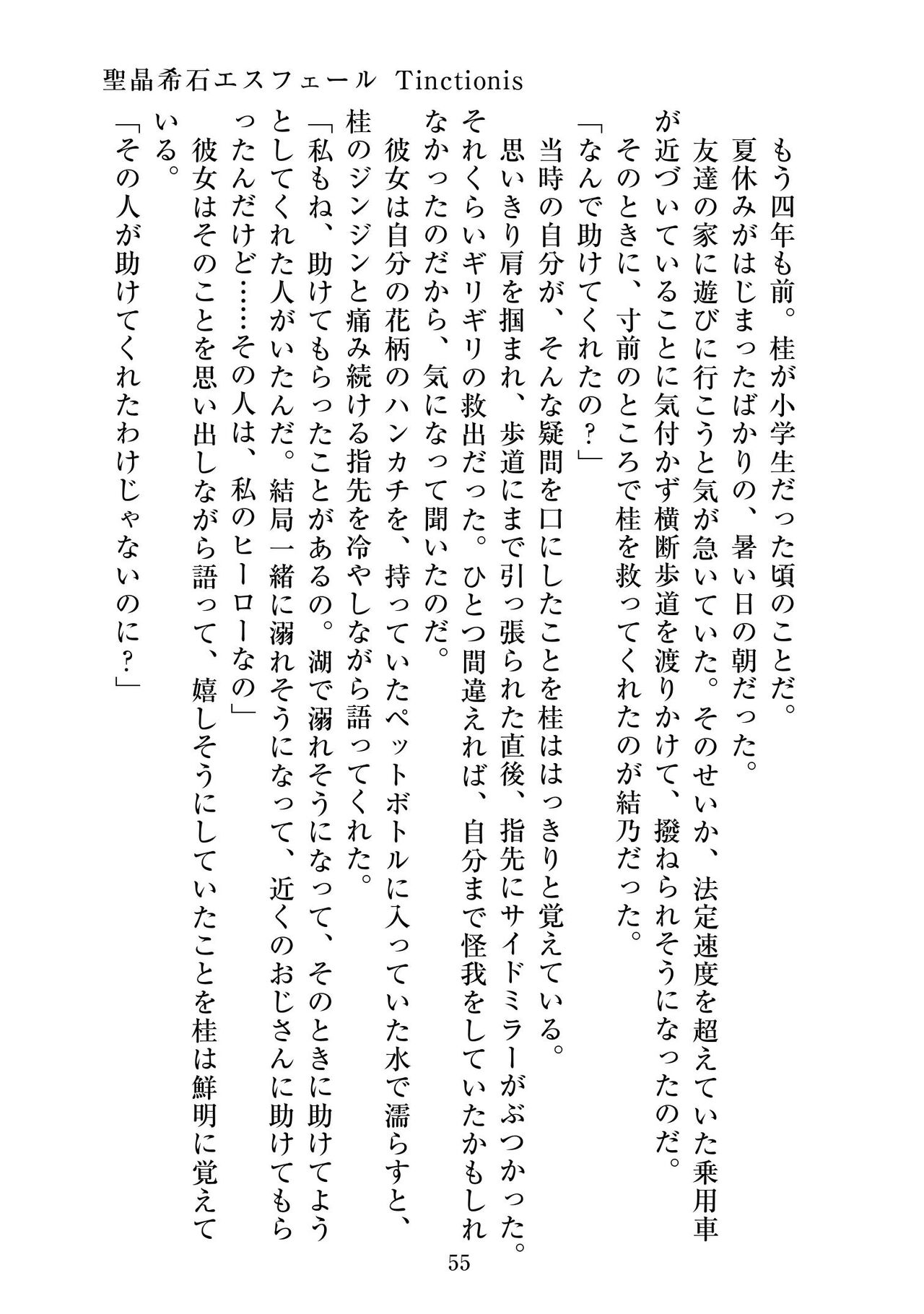 [ニワカカミキリヤモドキ]聖晶希石エスフェール Tinctionis numero di immagine  56