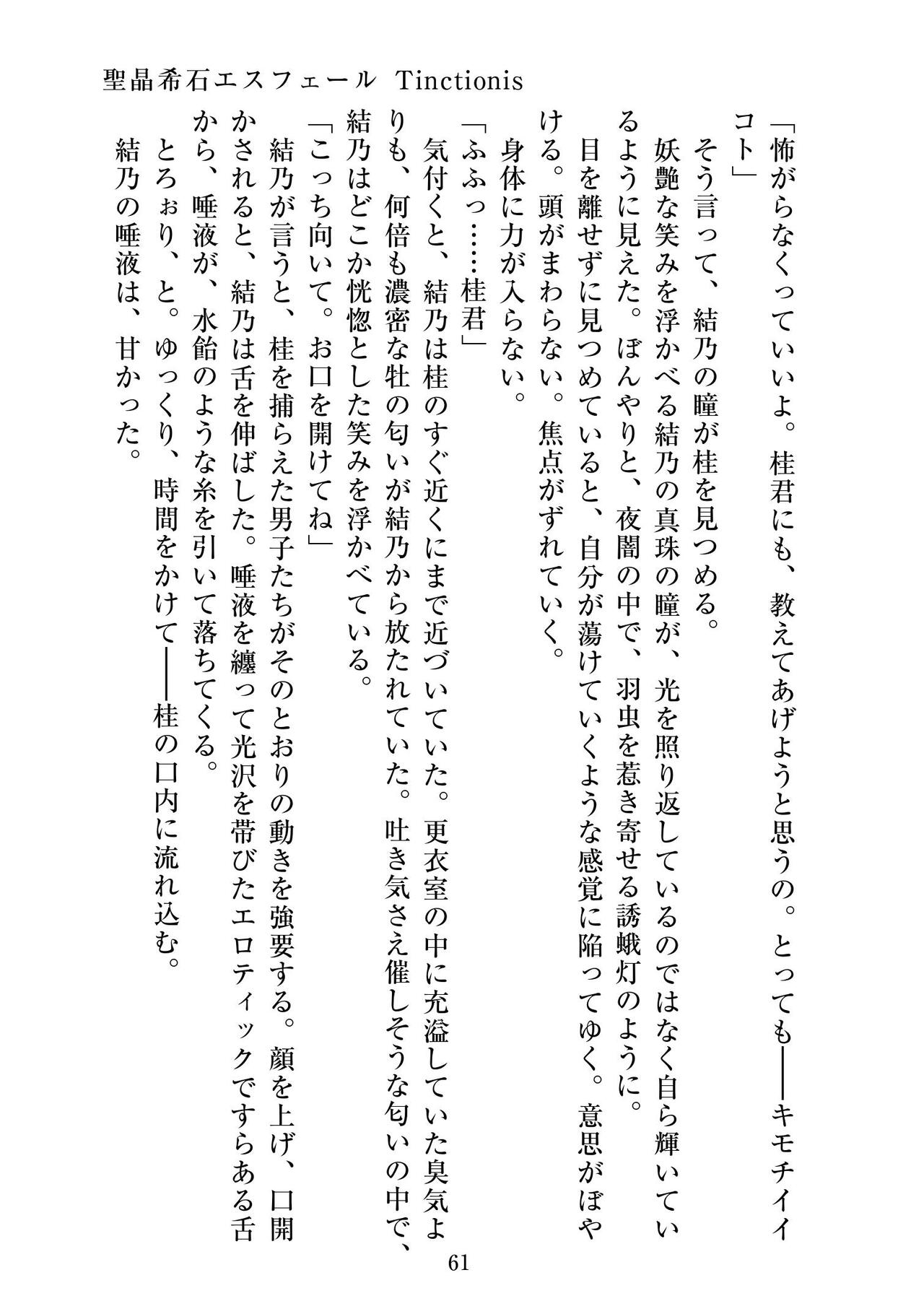 [ニワカカミキリヤモドキ]聖晶希石エスフェール Tinctionis numero di immagine  62