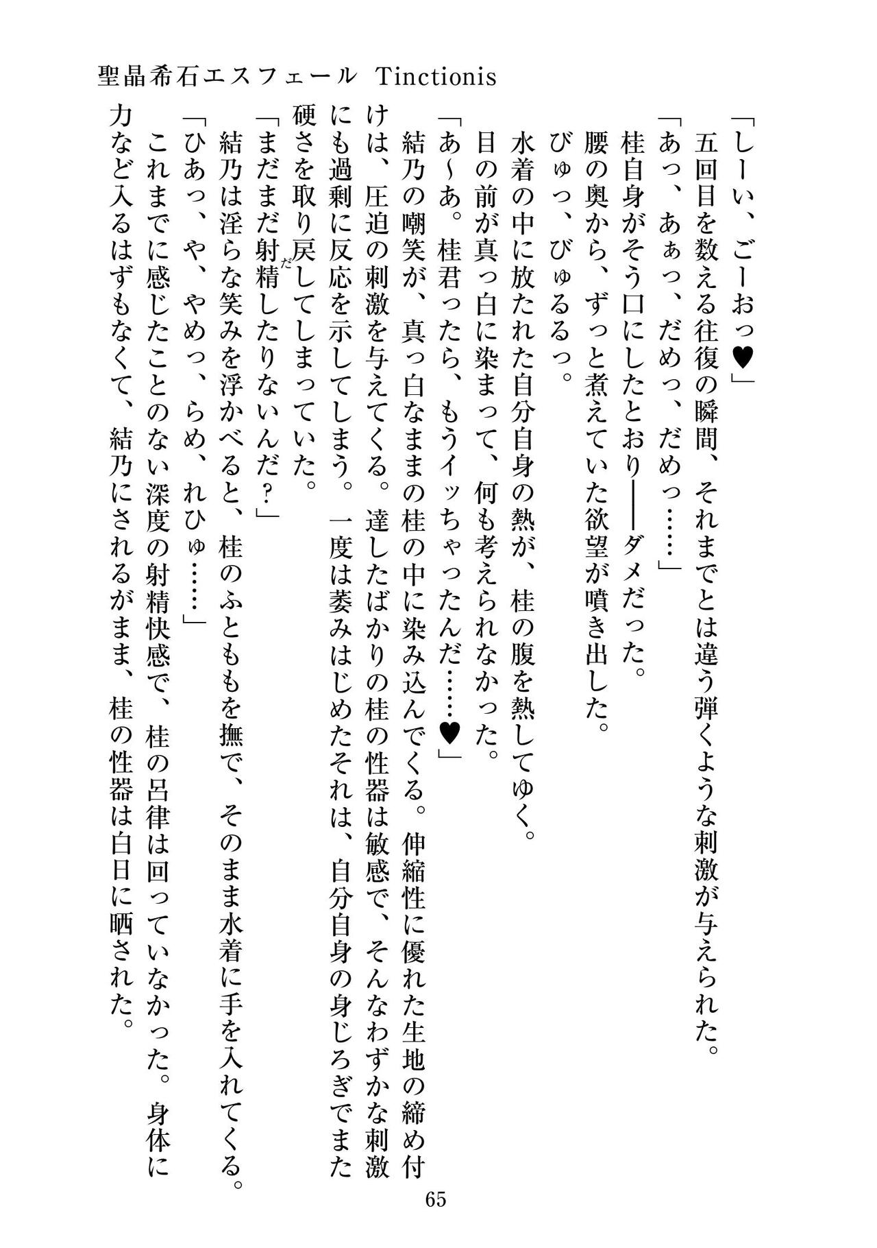 [ニワカカミキリヤモドキ]聖晶希石エスフェール Tinctionis numero di immagine  66