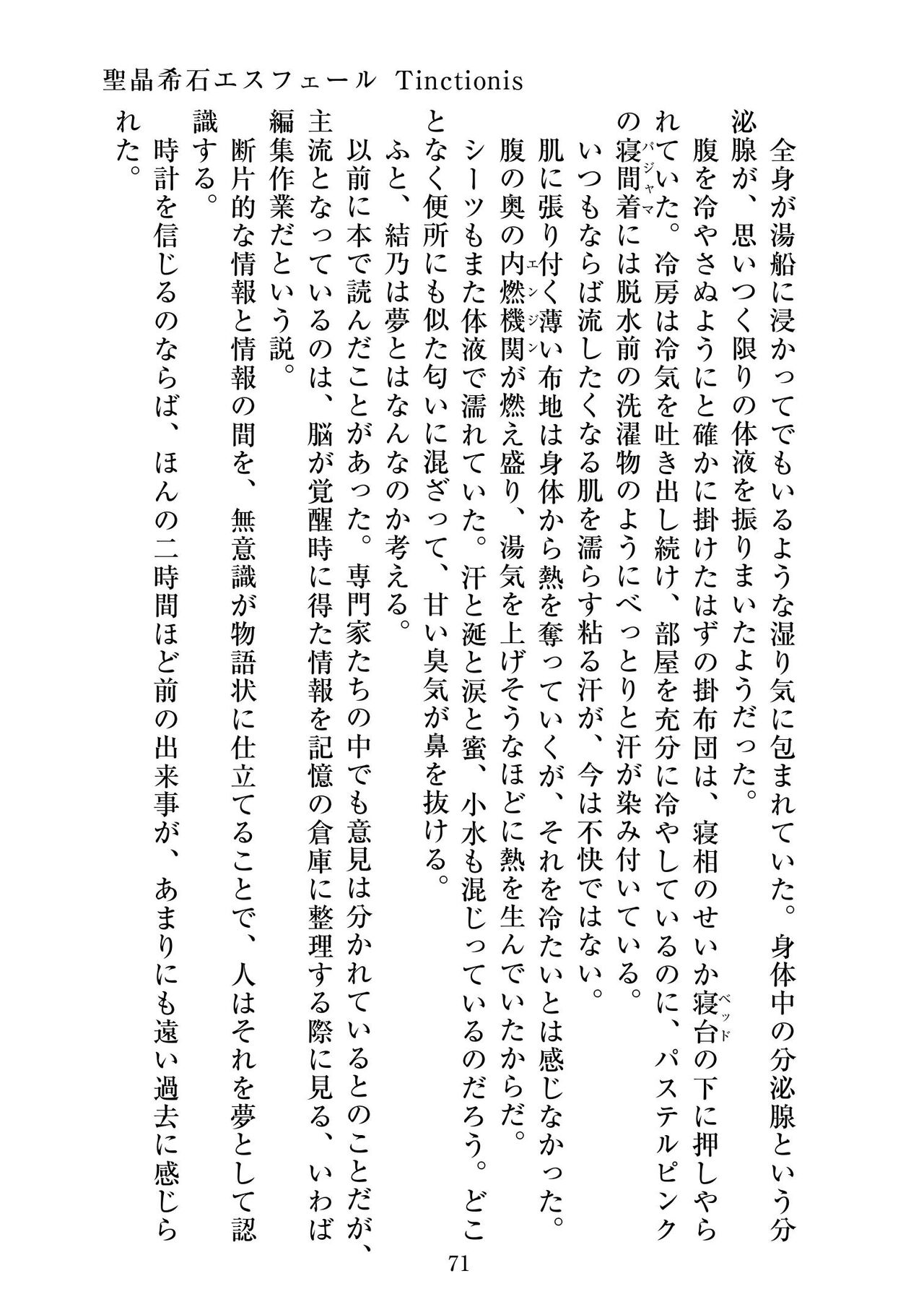 [ニワカカミキリヤモドキ]聖晶希石エスフェール Tinctionis numero di immagine  72