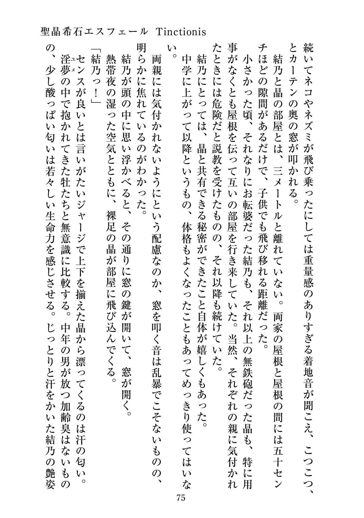 [ニワカカミキリヤモドキ]聖晶希石エスフェール Tinctionis numero di immagine  76