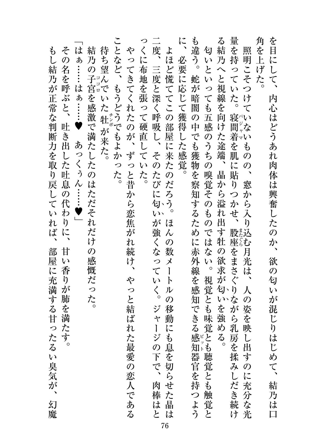 [ニワカカミキリヤモドキ]聖晶希石エスフェール Tinctionis numero di immagine  77