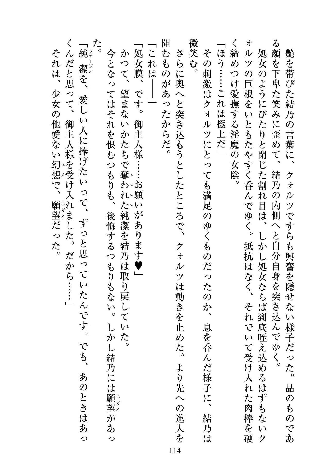 [ニワカカミキリヤモドキ]聖晶希石エスフェール Tinctionis numero di immagine  115