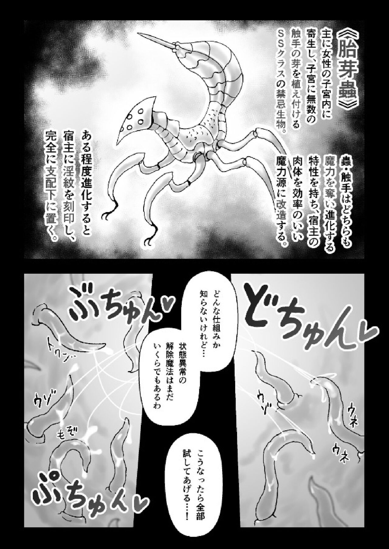 [HitoMi]A story about a witch being parasitized by tentacles and insects and having her womb and life messed up. Bildnummer 10