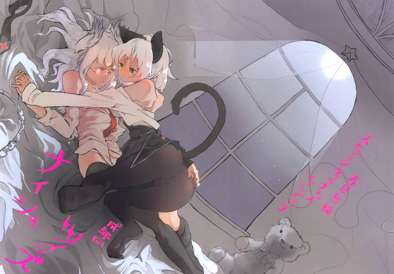 (C95) [Syunkashuutou (Ika)] Naisho Twins (Strike Witches) 图片编号 2