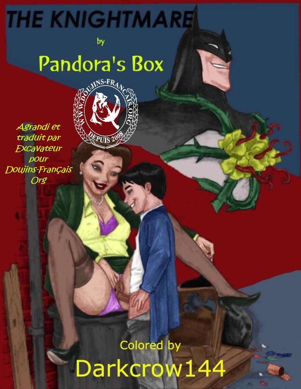 Batman - the knightmare (french) image number 1