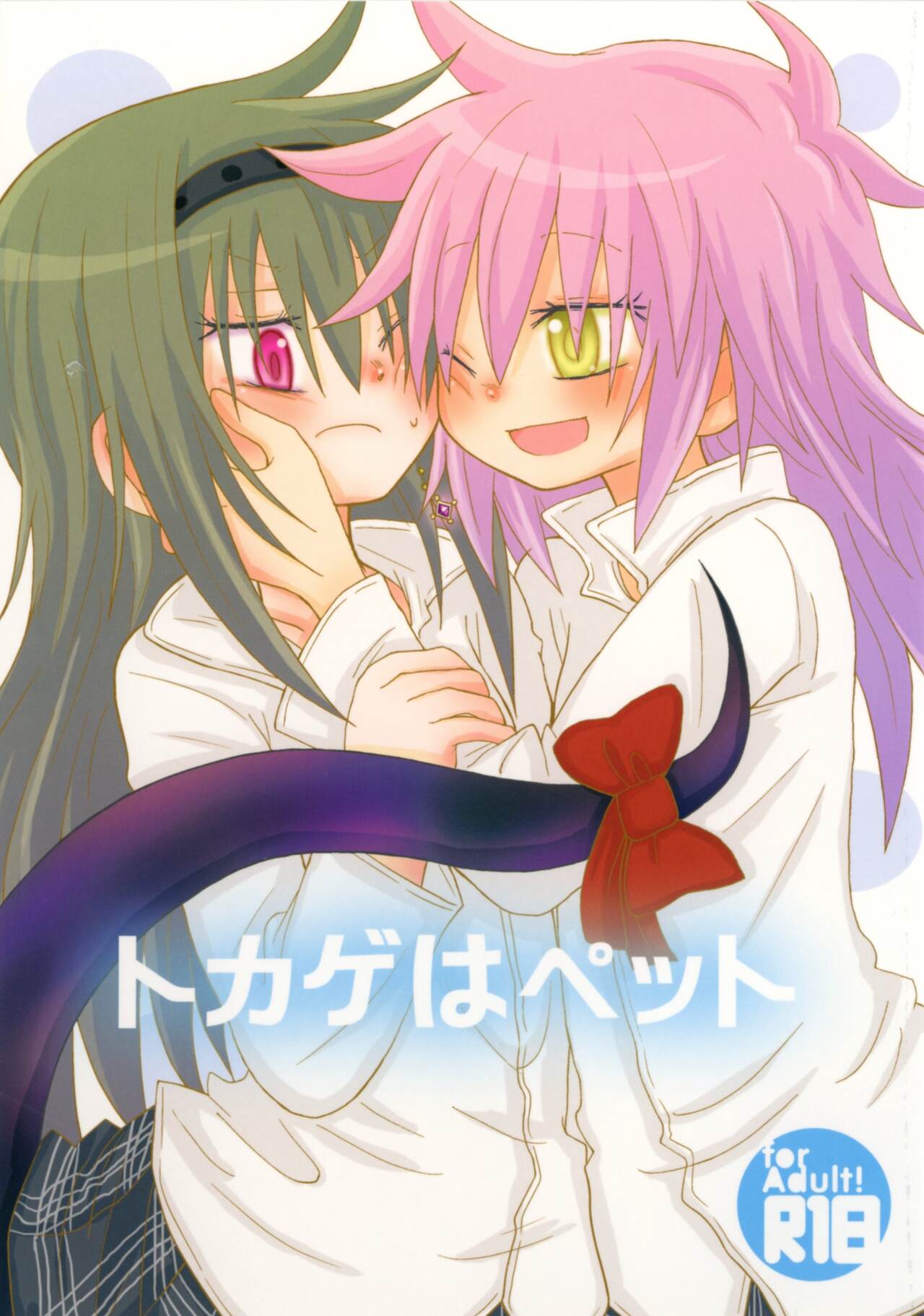 (Mou Nanimo Kowaku Nai 17) [ROUTE885 (8)] Tokage wa Pet (Puella Magi Madoka Magica) Bildnummer 1