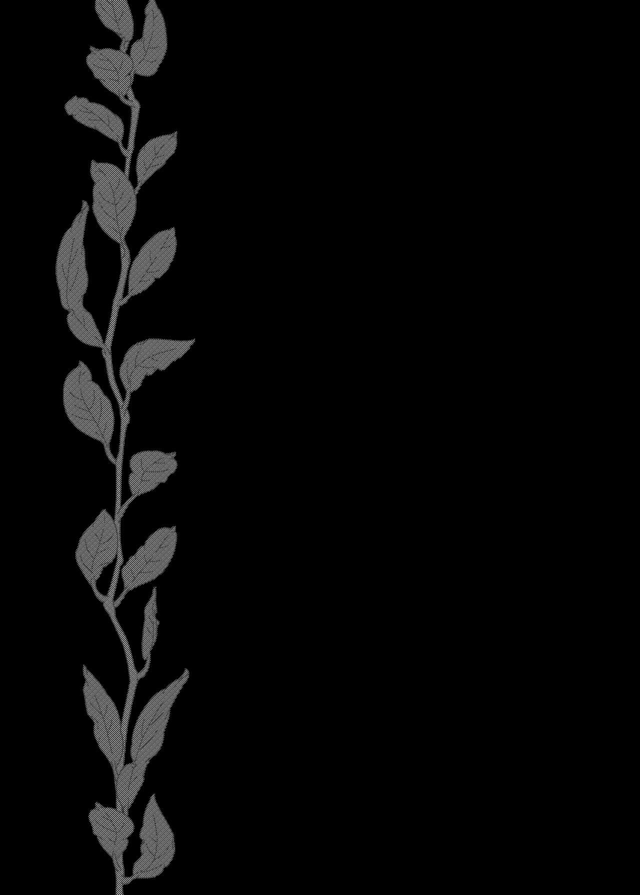 I who became a woman (TS), told my uncle... 2eme image