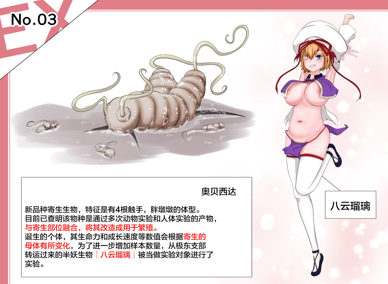 蟲研究レポートEX_No.03 Chinese Translation 画像番号 2