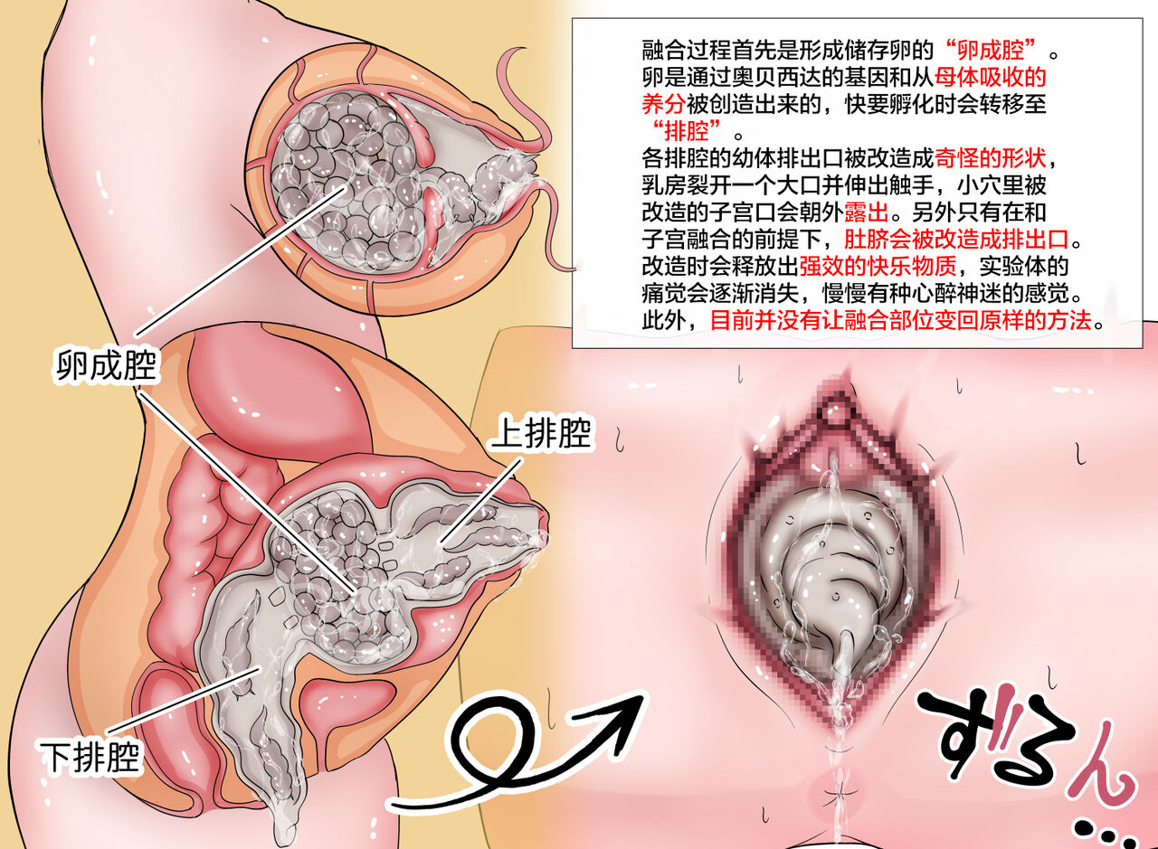 蟲研究レポートEX_No.03 Chinese Translation 画像番号 5