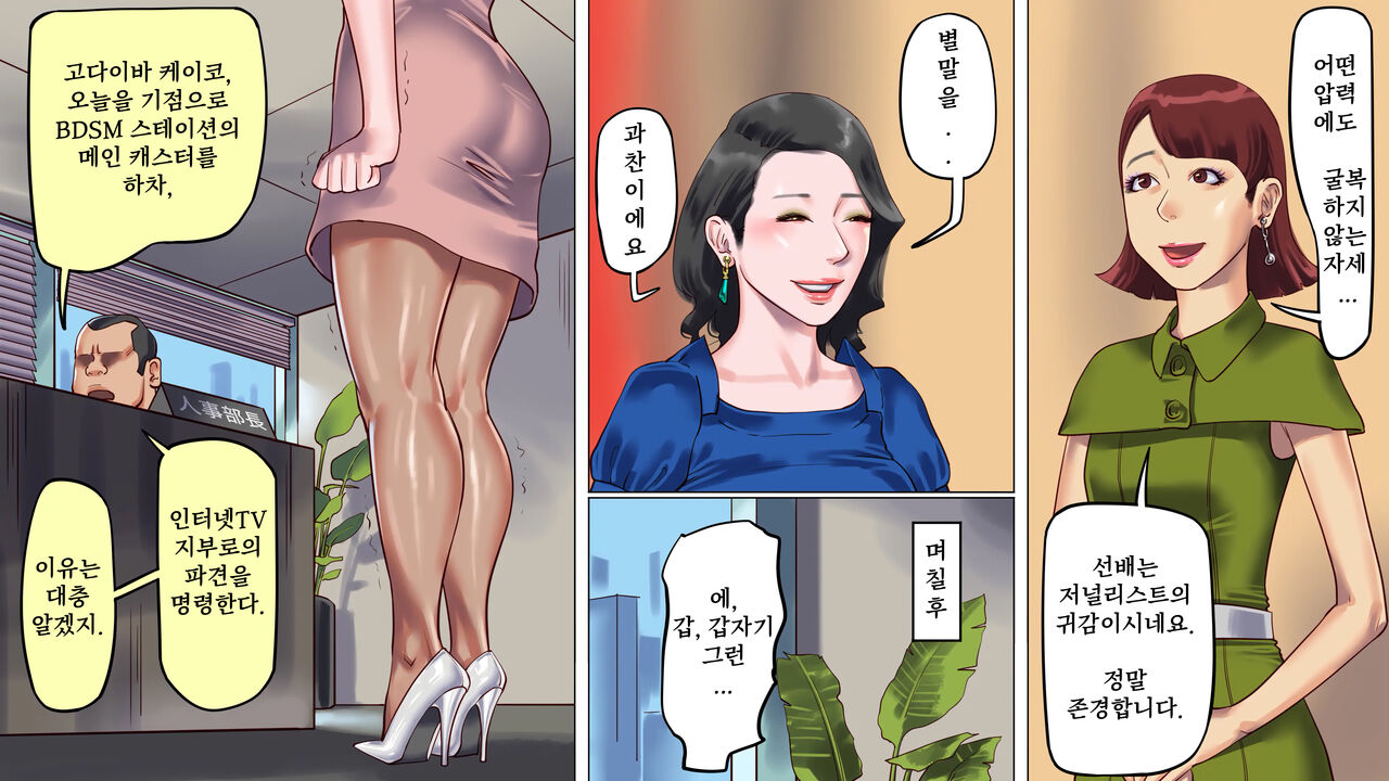 [Naya] 타락한 미녀 아나운서 · 케이코 제1편 치욕의 노예근무 | 堕とされた美人キャスター・慶子 第一部 恥辱の奴隷勤務編 [Korean] 图片编号 14