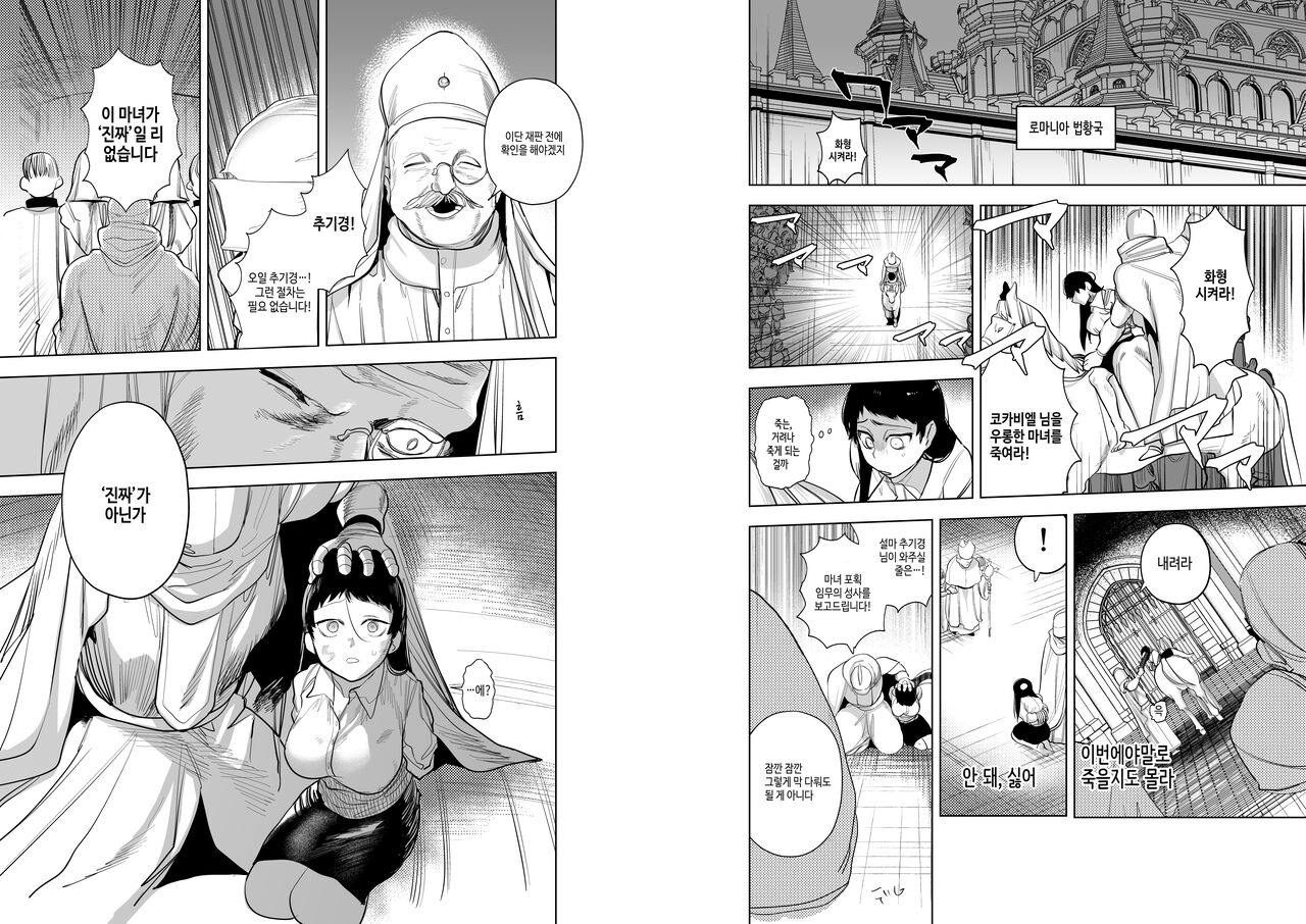 [Sakiccyo dake!(Horita ahan)] Isekai Trip Saki de Tasuketekureta noha , Hitogoroshi no Syounenn deshita . Syounenn Annsatsusya×Fubinn Onesan no Isekai Nagasare Sex | 이세계에 소환된 나를 구해준 것은, 살인자 소년이었습니다. 4 [Korean] [Digital] [DLsite] image number 4