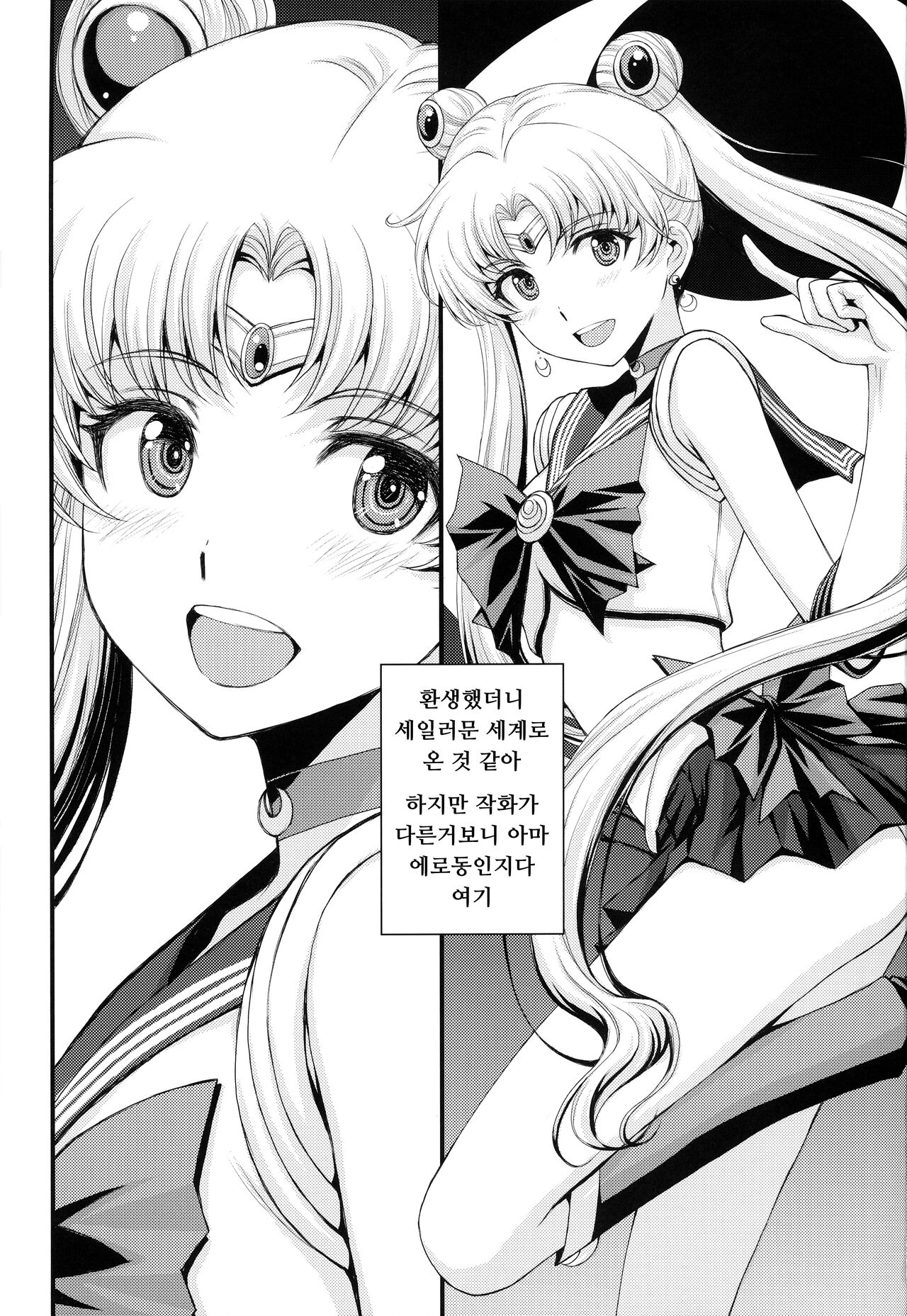 (C102) [Secret Society M (Kitahara Aki)] Usagi no Junjou!? Chin Make Bishoujo Senshi! (Bishoujo Senshi Sailor Moon) [Korean] 画像番号 2