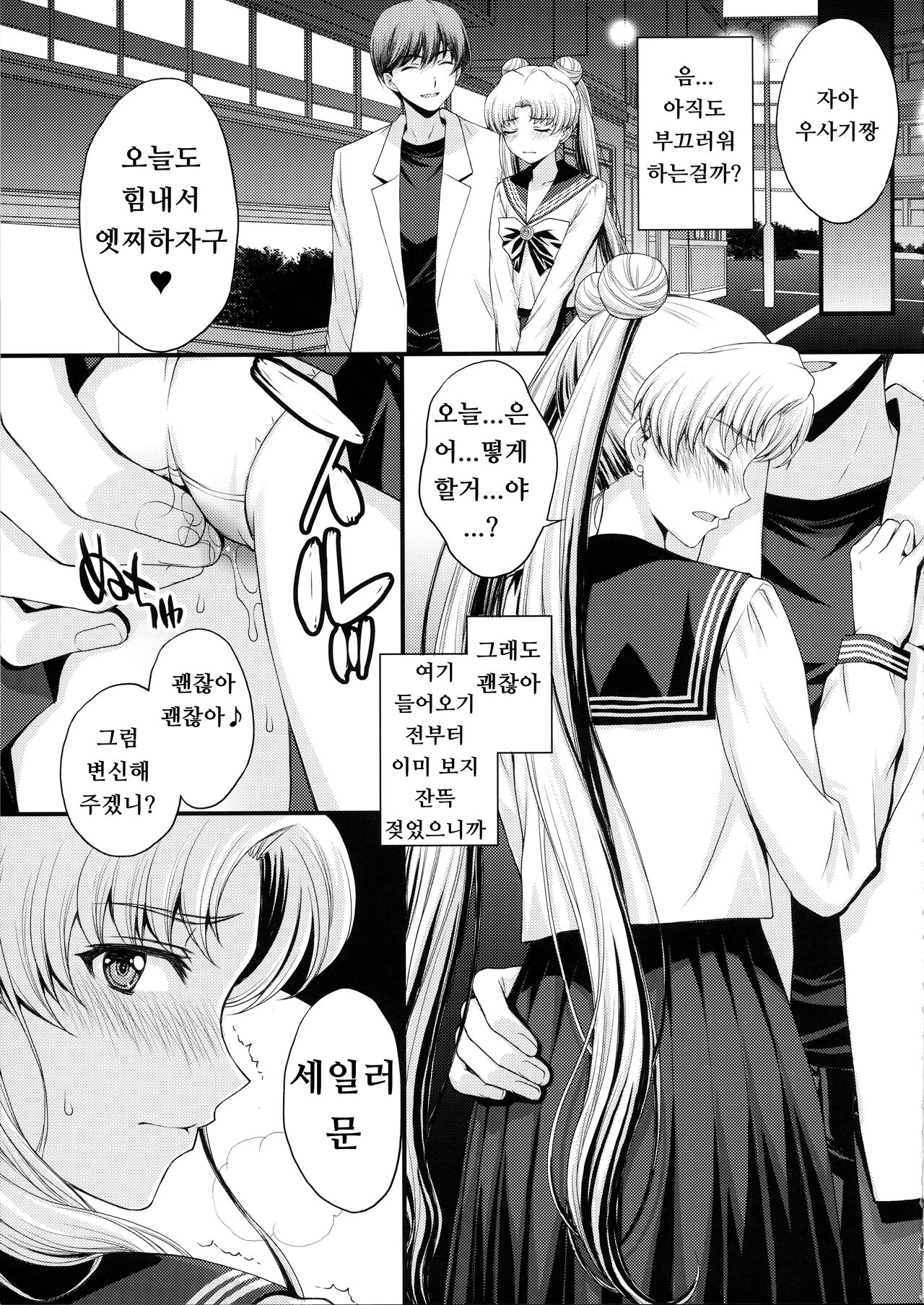 (C102) [Secret Society M (Kitahara Aki)] Usagi no Junjou!? Chin Make Bishoujo Senshi! (Bishoujo Senshi Sailor Moon) [Korean] 画像番号 6