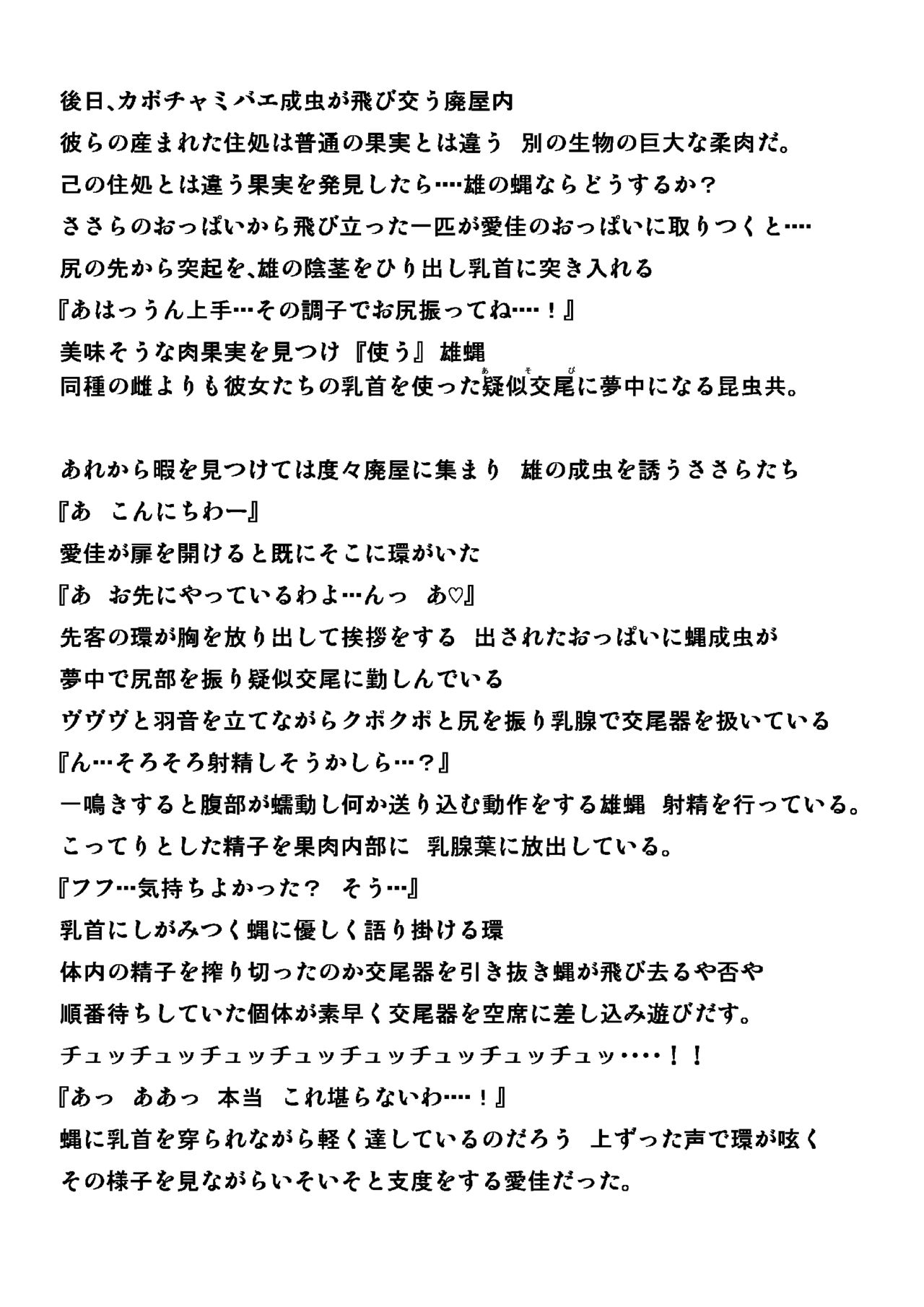 カボチャミバエネタ изображение № 11