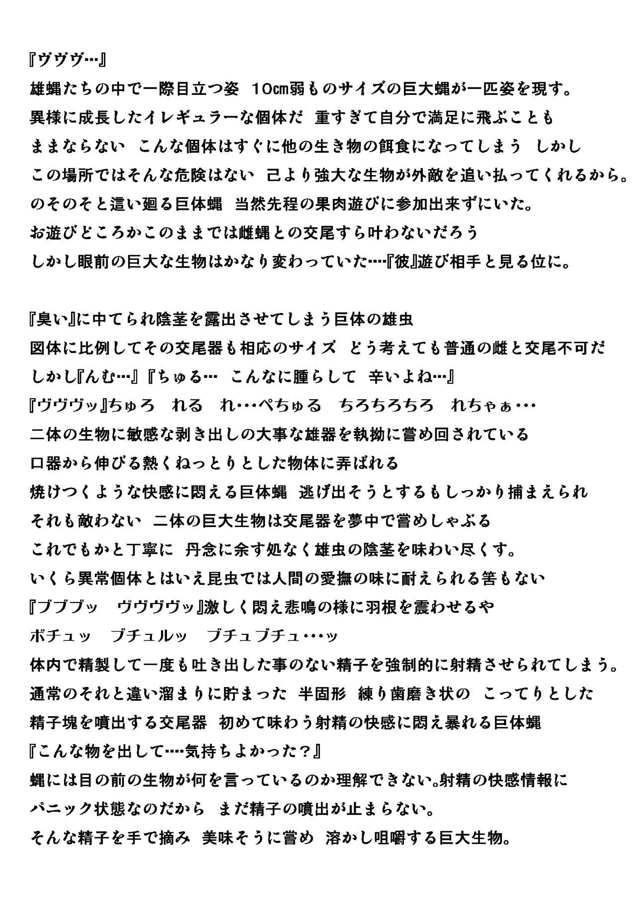 カボチャミバエネタ изображение № 14