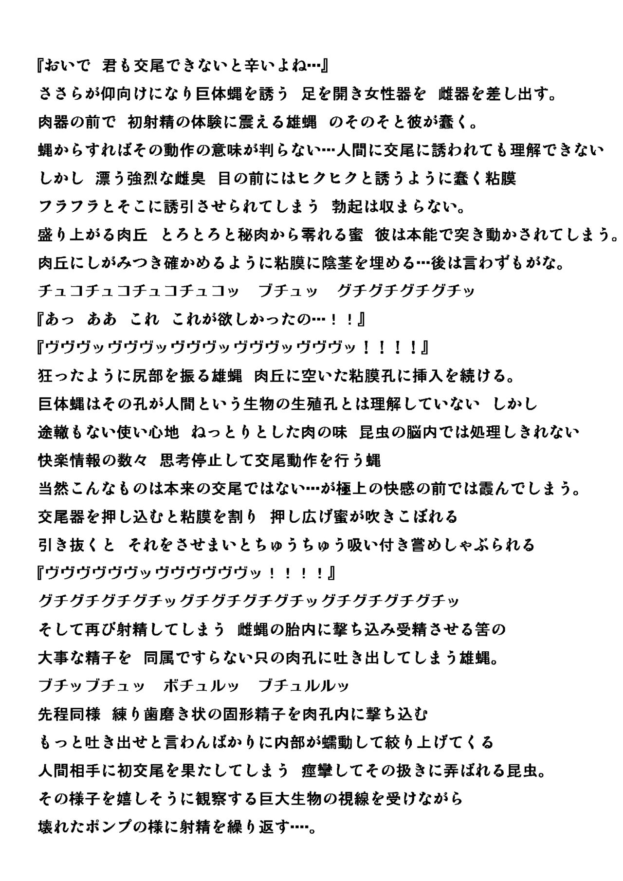 カボチャミバエネタ изображение № 16