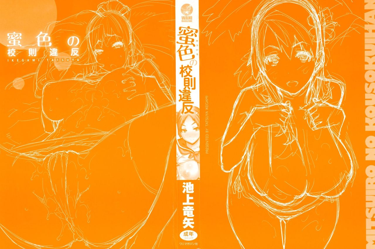 [Ikegami Tatsuya] Mitsuiro no Kousokuihan  [Spanish] =EES= & =SDnF= 3eme image