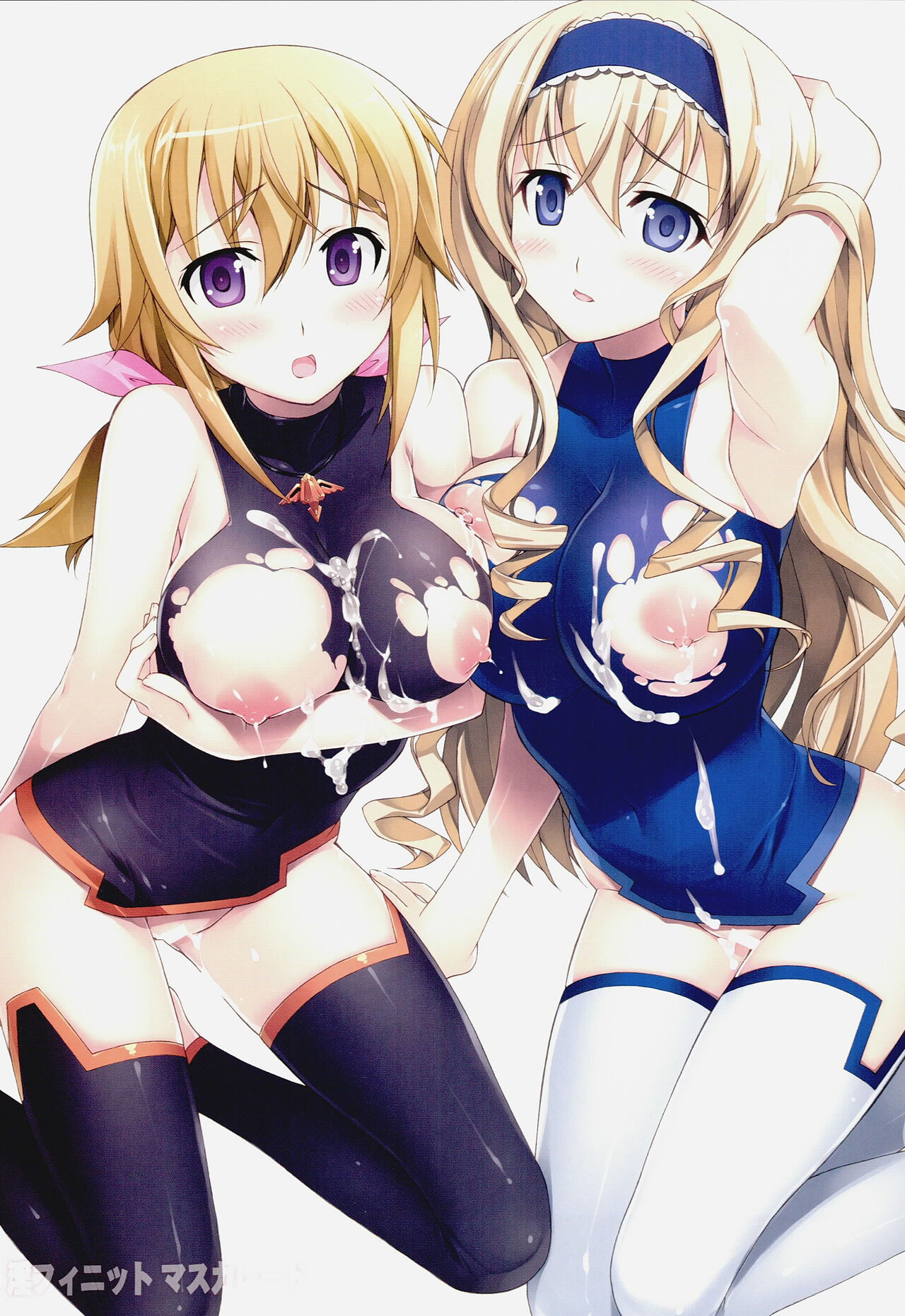 (C81) 	[Yan-Yam] Infinite Masuquerade (IS <Infinite Stratos>) image number 2