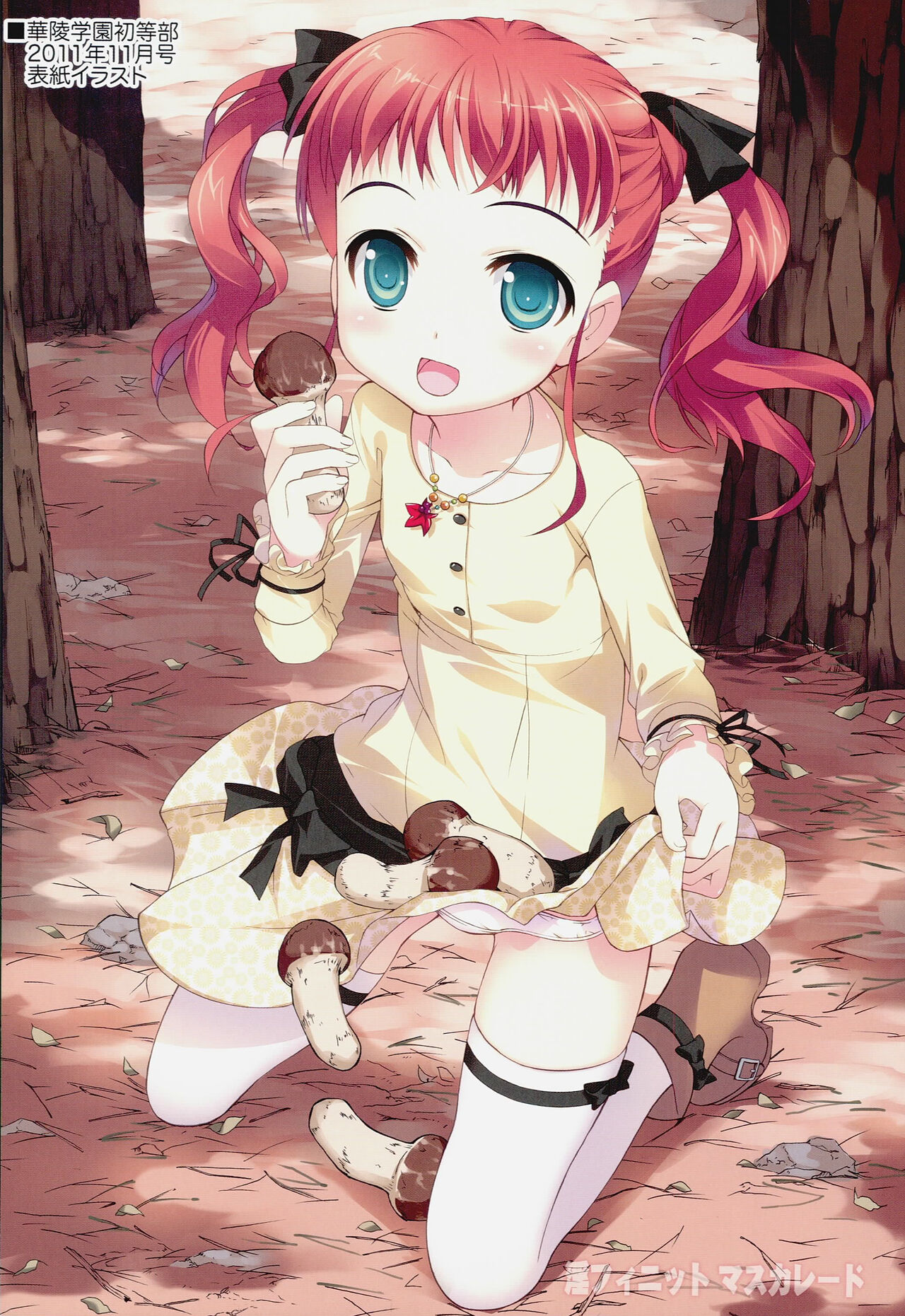 (C81) 	[Yan-Yam] Infinite Masuquerade (IS <Infinite Stratos>) image number 7