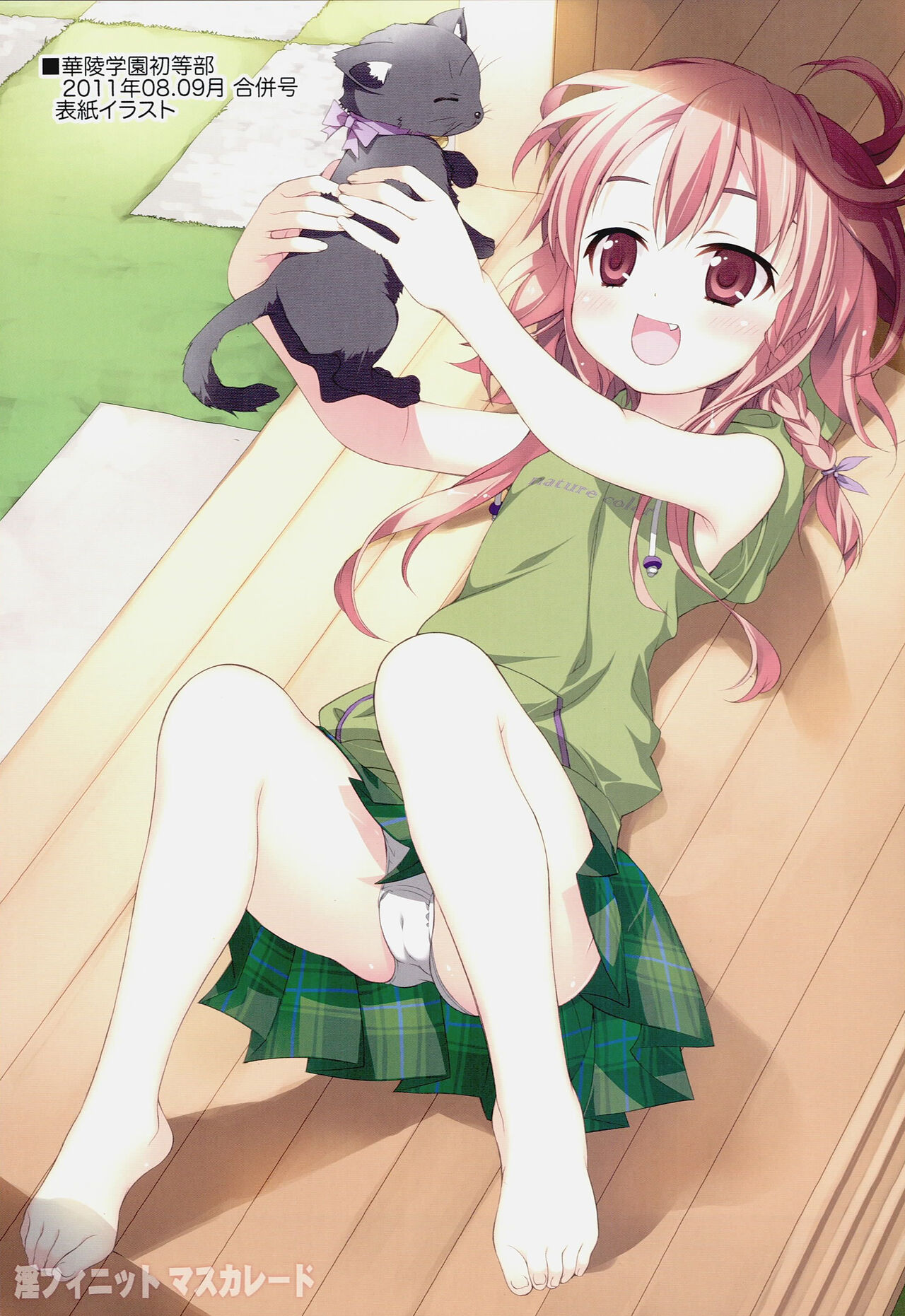 (C81) 	[Yan-Yam] Infinite Masuquerade (IS <Infinite Stratos>) image number 8