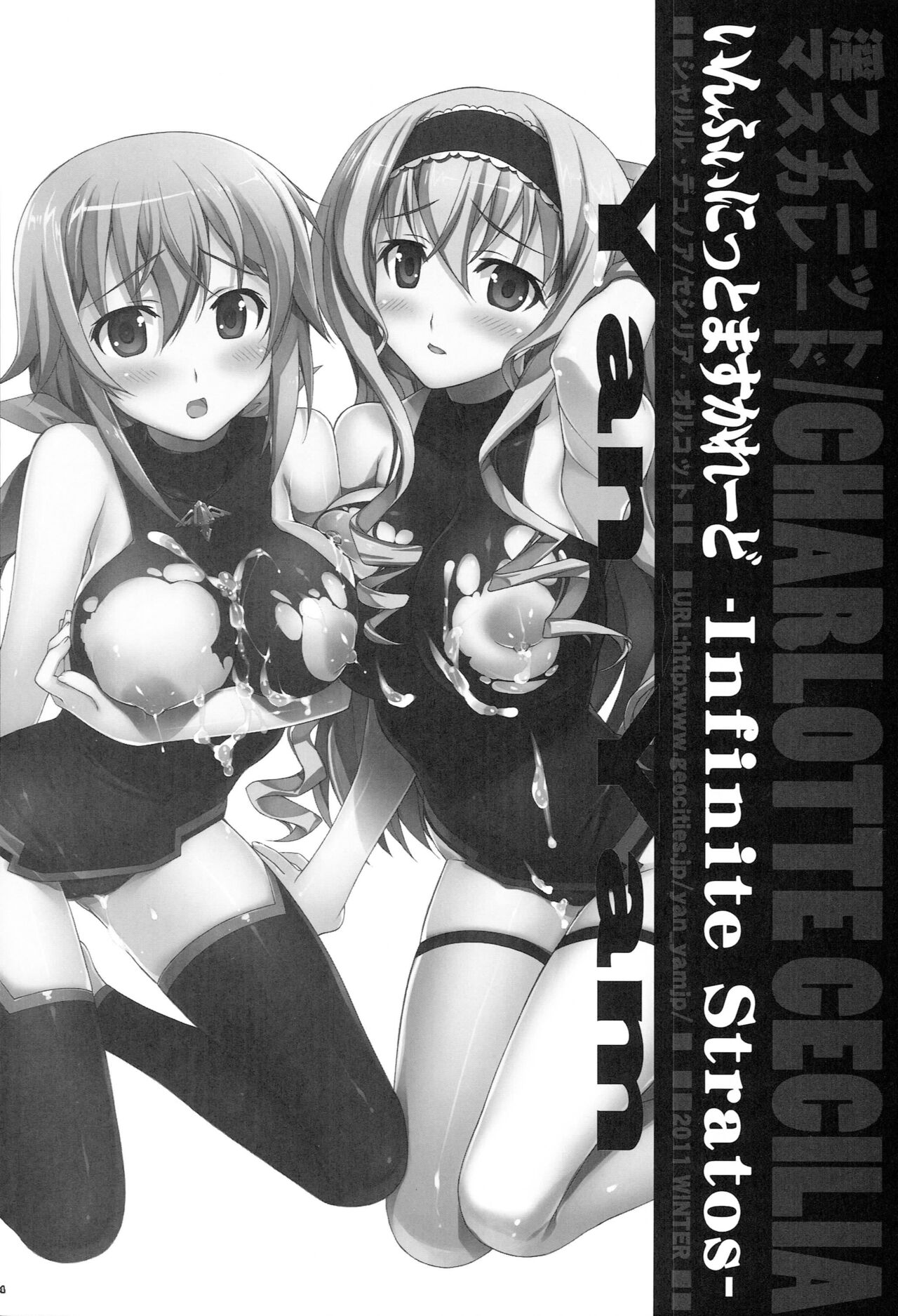 (C81) 	[Yan-Yam] Infinite Masuquerade (IS <Infinite Stratos>) image number 13