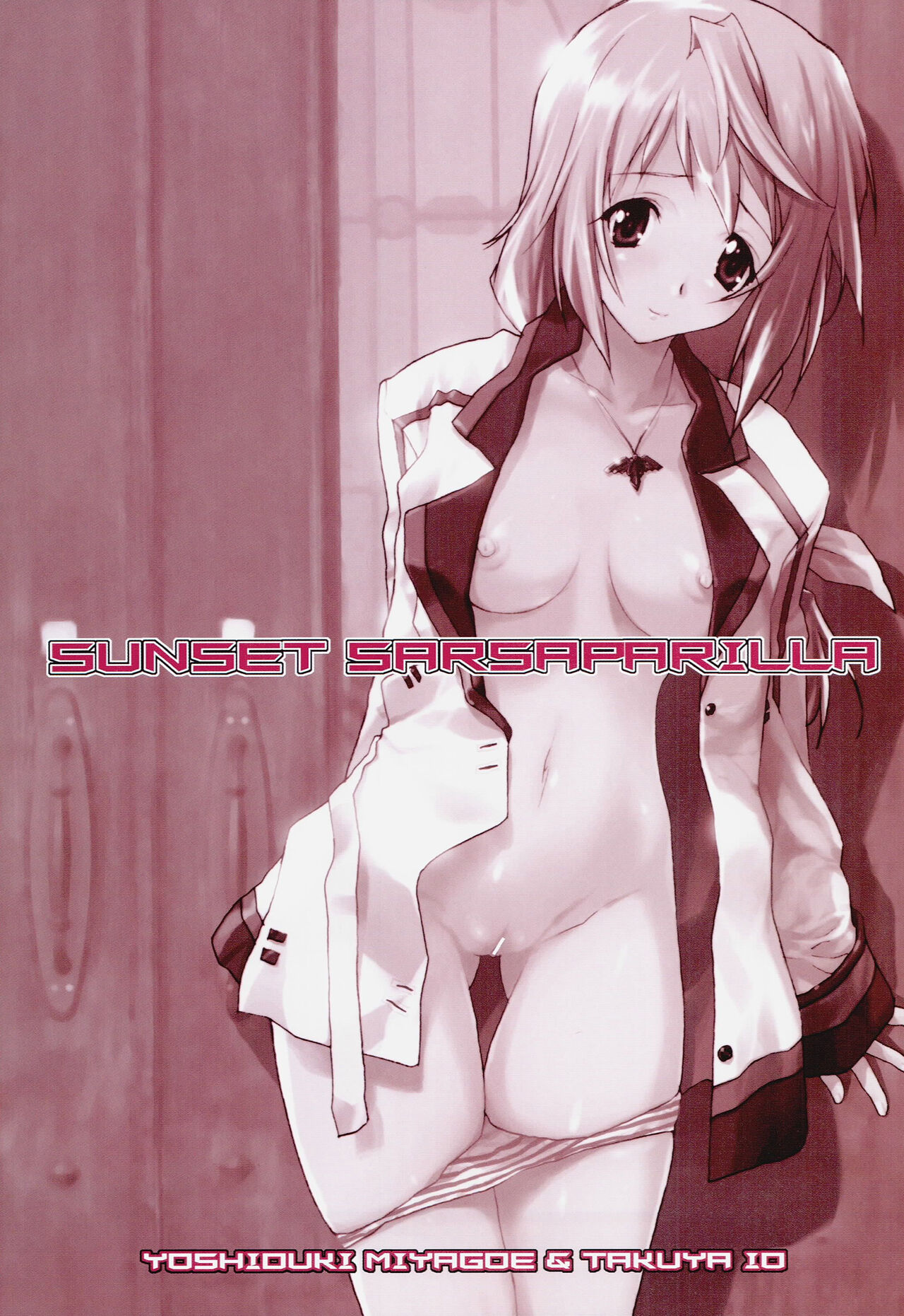 (C80) [甲冑娘 (Miyagoe Yoshitsuki, Io Takuya)] SUNSET SARSAPARILLA (IS <Infinite Stratos>) 图片编号 2