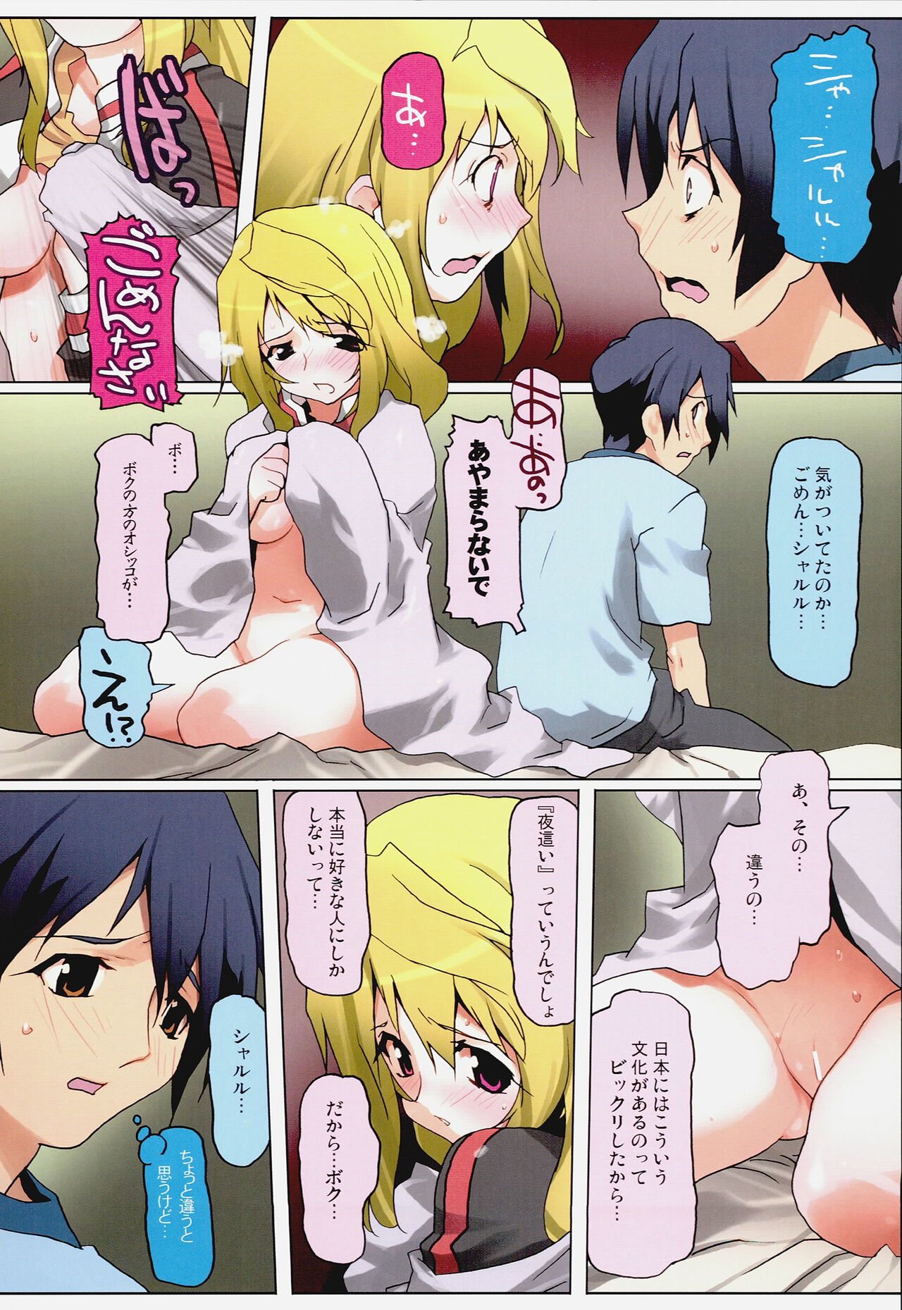 (C80) [甲冑娘 (Miyagoe Yoshitsuki, Io Takuya)] SUNSET SARSAPARILLA (IS <Infinite Stratos>) 图片编号 10