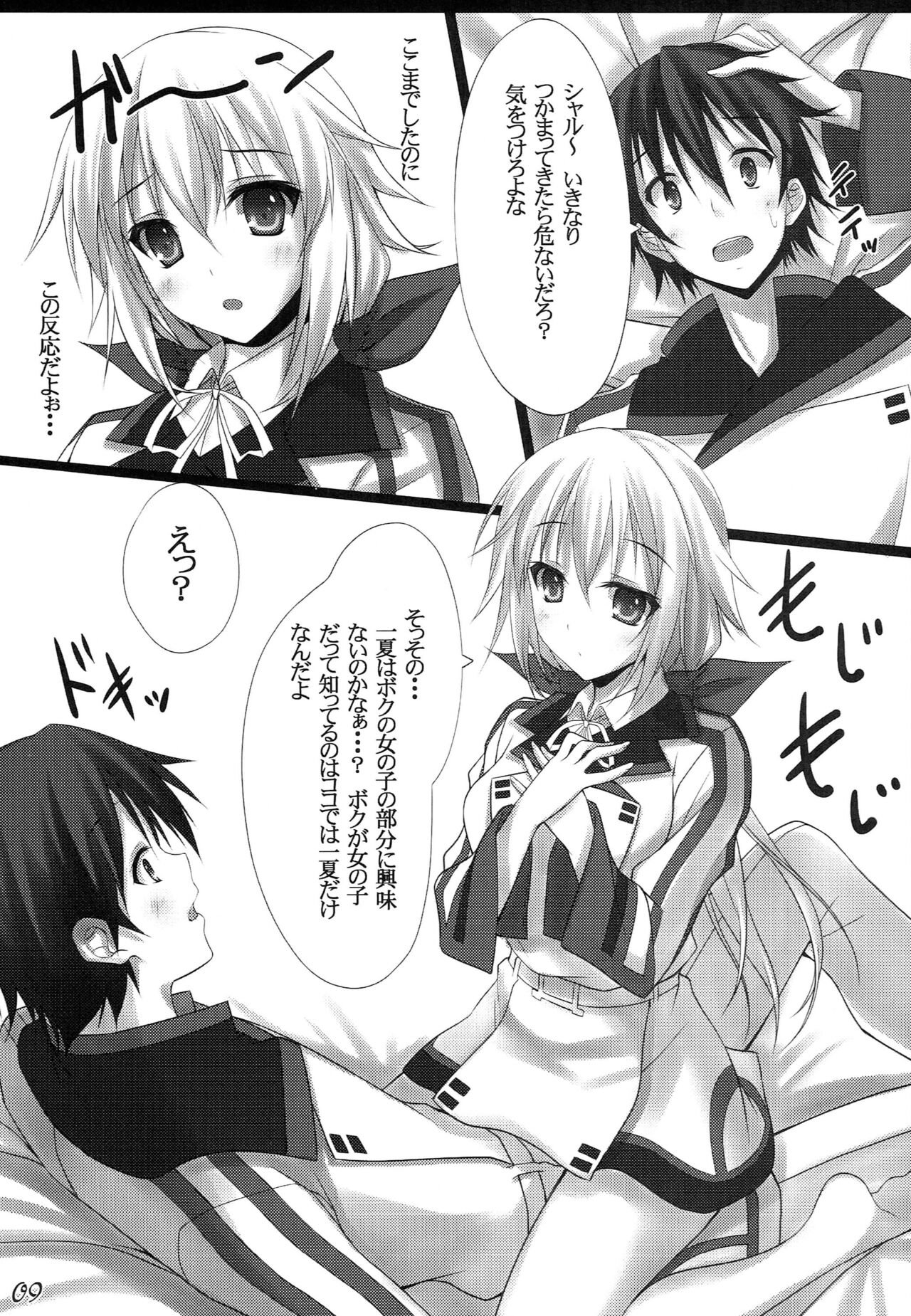 (C81) 	[Re:Cruit (Hayakawa Halui)] Disguise  (IS <Infinite Stratos>) 图片编号 9