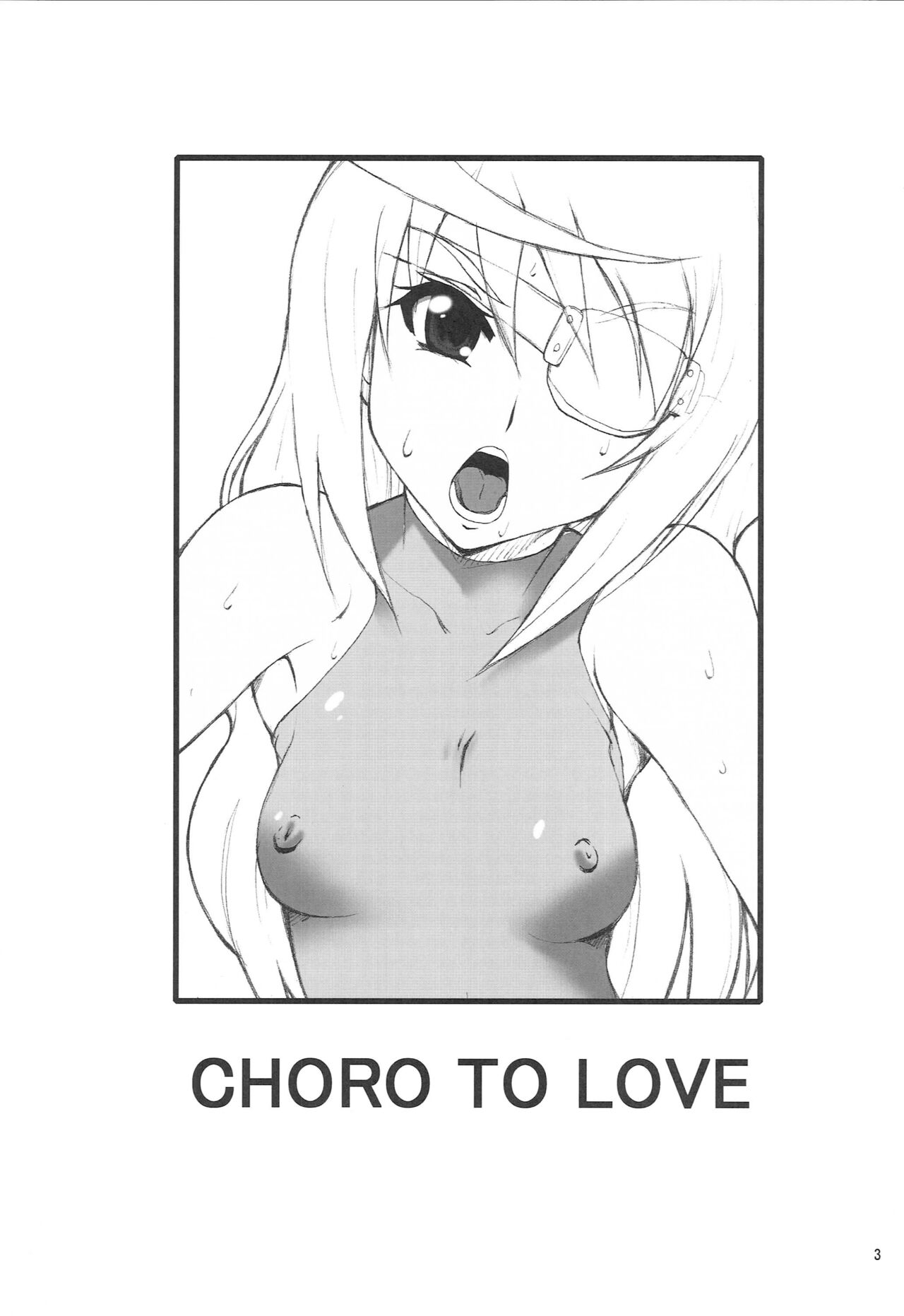 [MANGANA (Doluta, Nishimo)] CHORO TO LOVE (Infinite Stratos) 图片编号 2