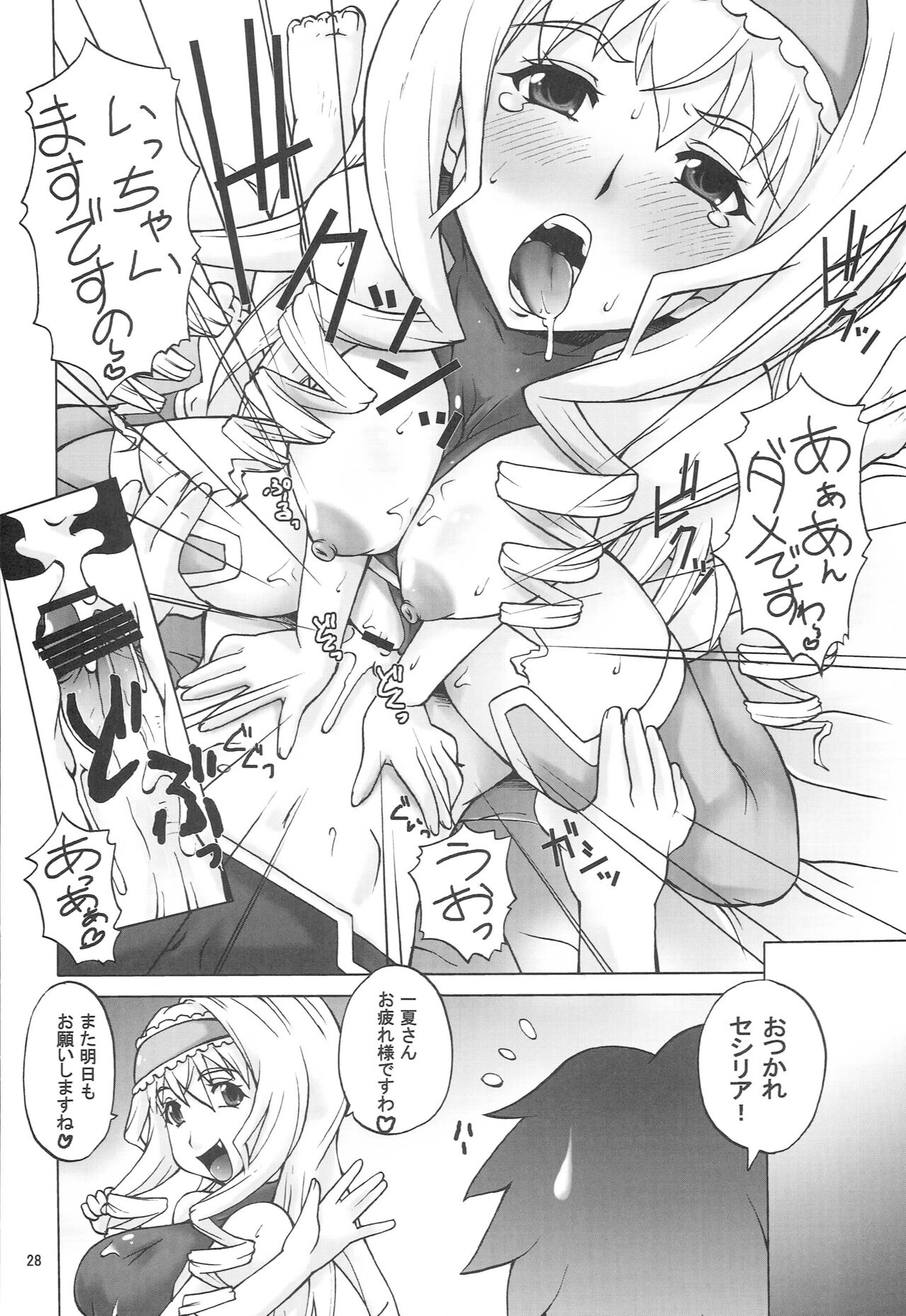 [MANGANA (Doluta, Nishimo)] CHORO TO LOVE (Infinite Stratos) 图片编号 27