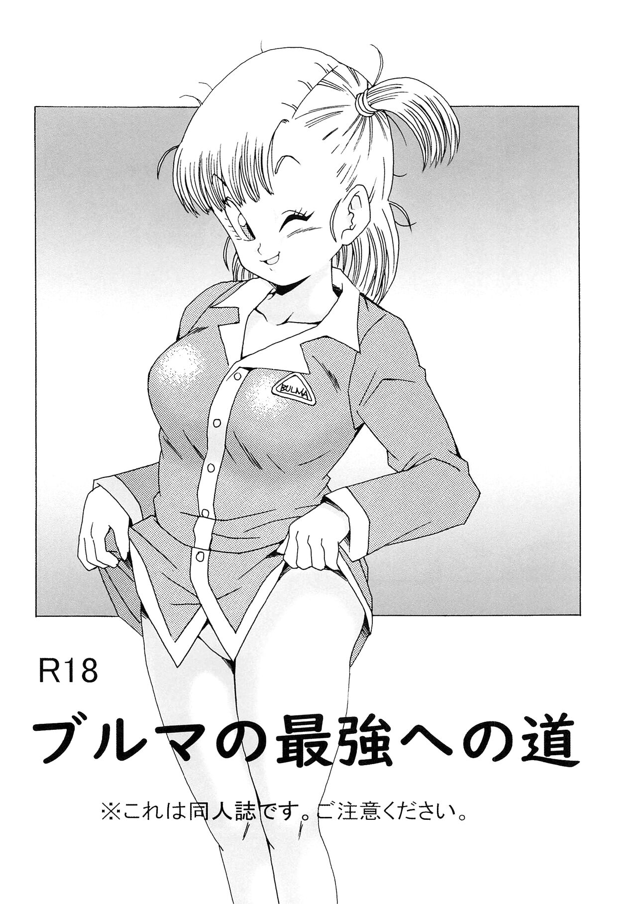 Bulma no Saikyou e no Michi изображение № 18